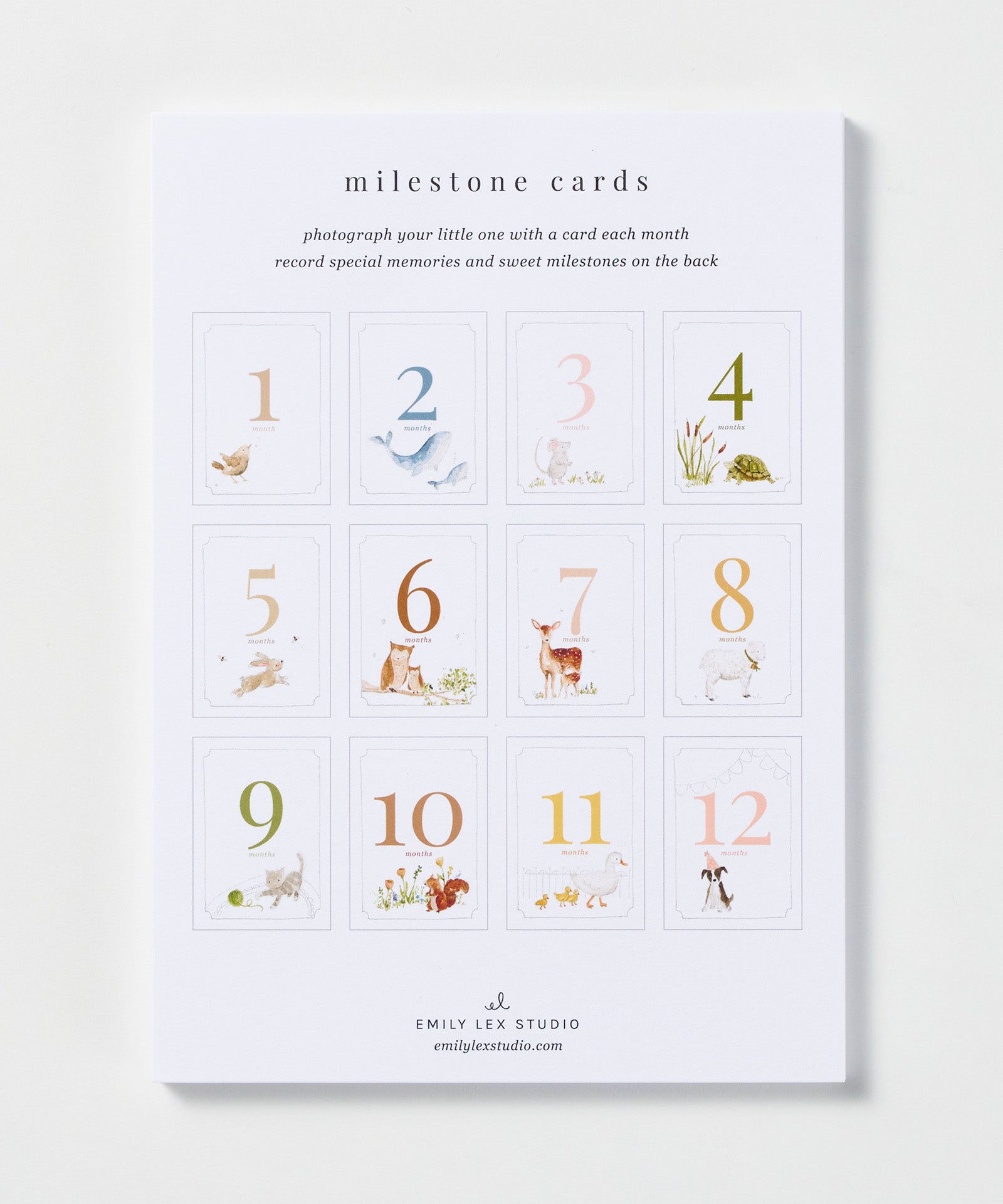 Baby Milestone Cards