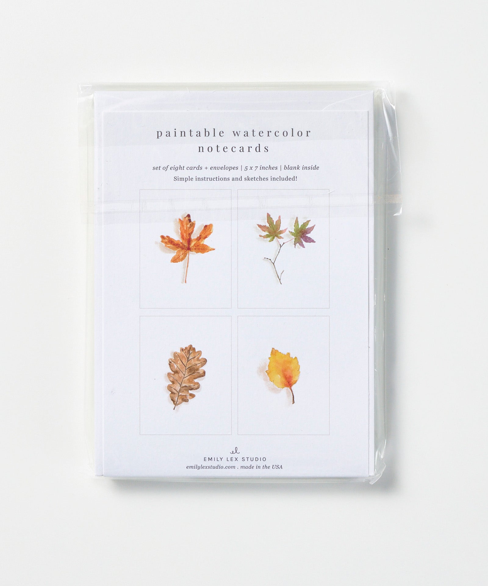 Fall Leaves Paintable Watercolor Notecard Set