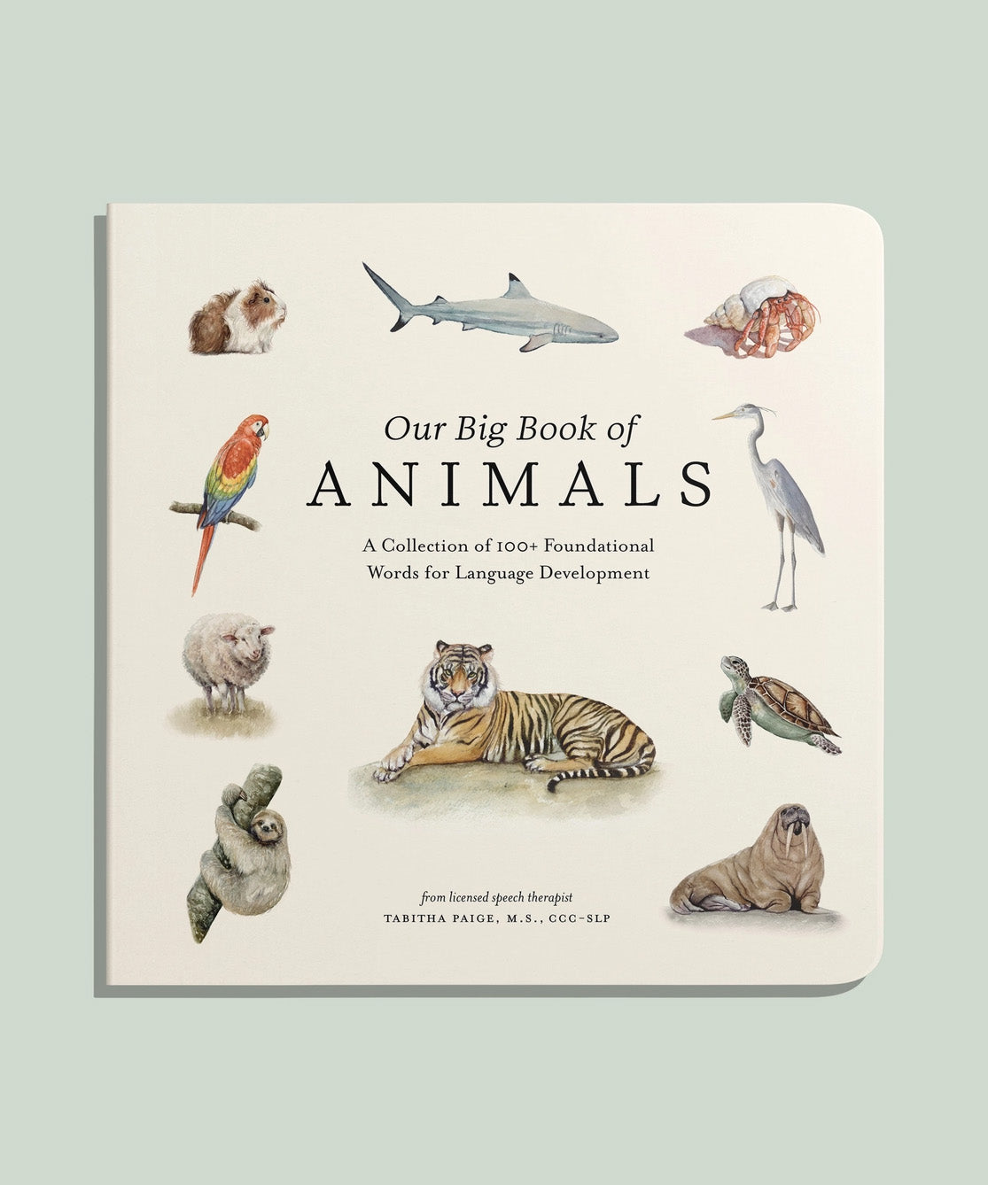 Our Big Book of Animals (Board Book)
