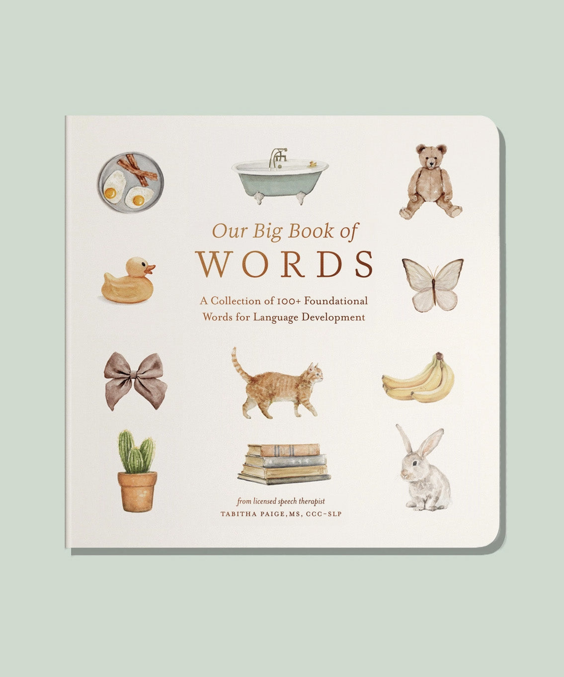 Our Big Book of First Words (Board Book)