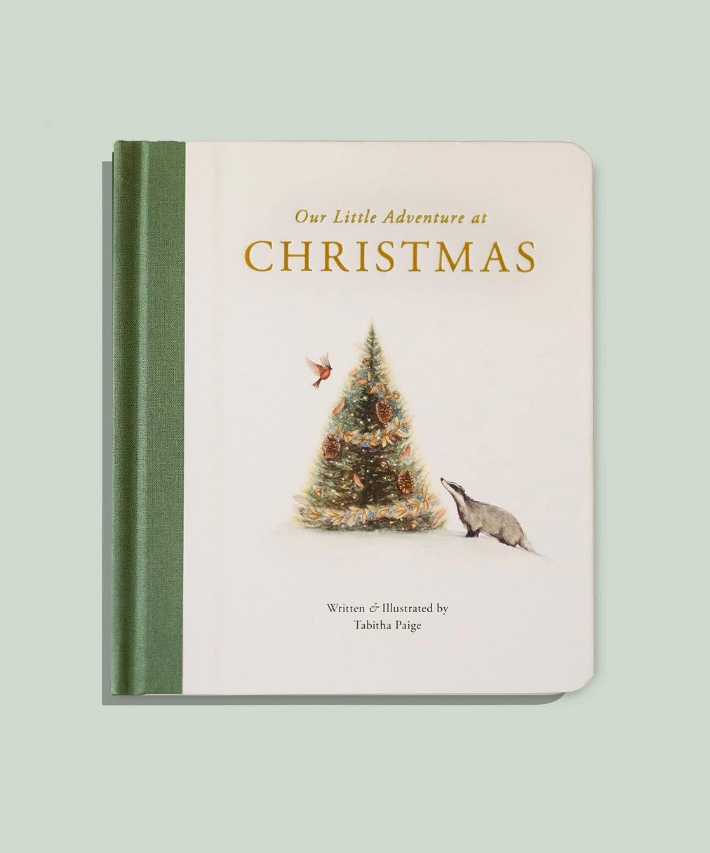 Our Little Adventure At Christmas (Baby's First Christmas)