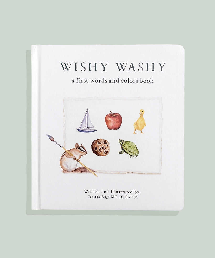 Wishy Washy: A Board Book of First Words and Colors