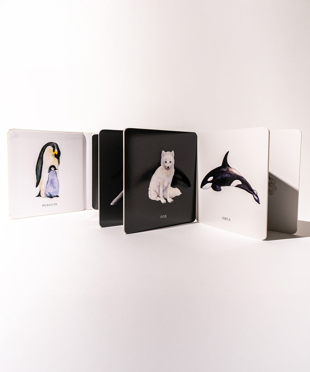 Black and White Contrast Book For Baby