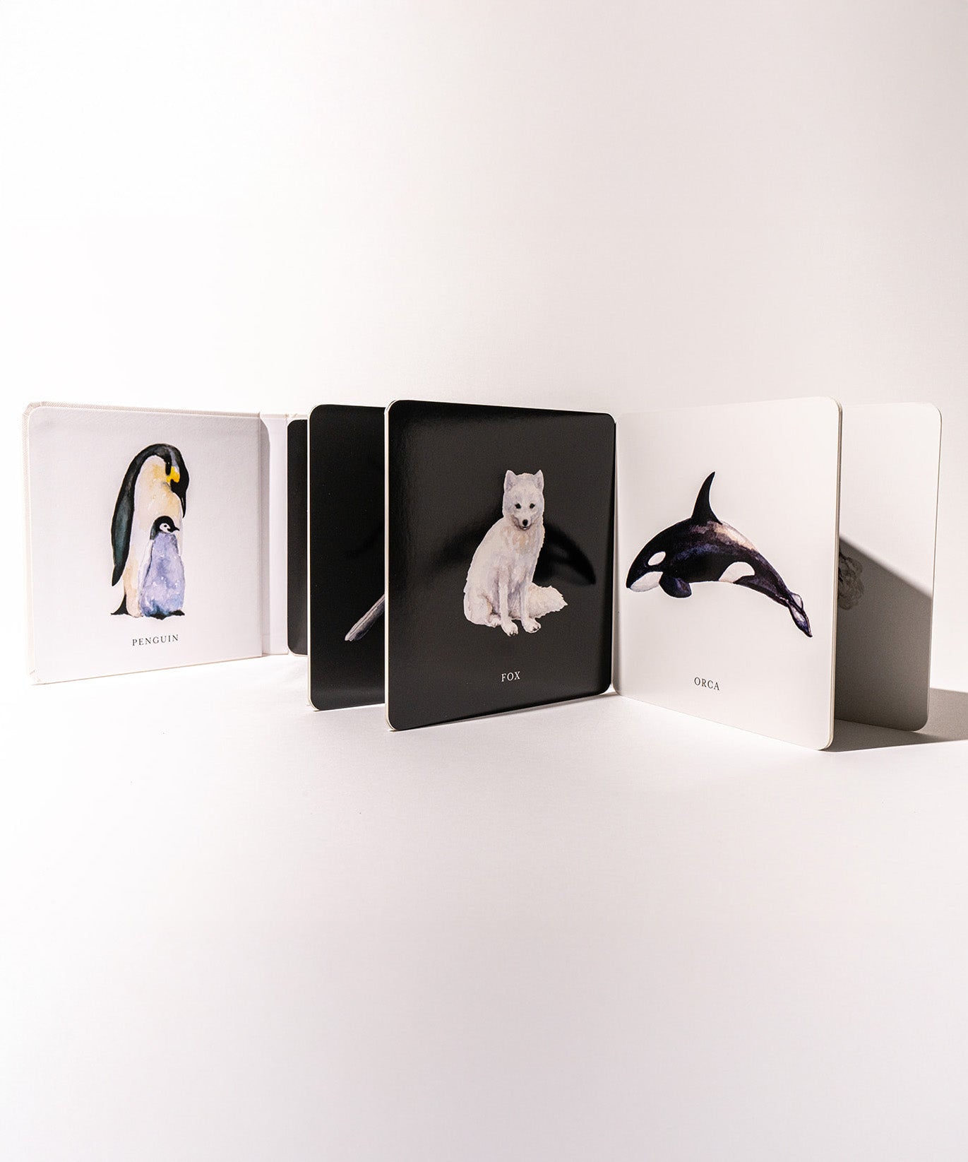 Black and White Contrast Book For Baby