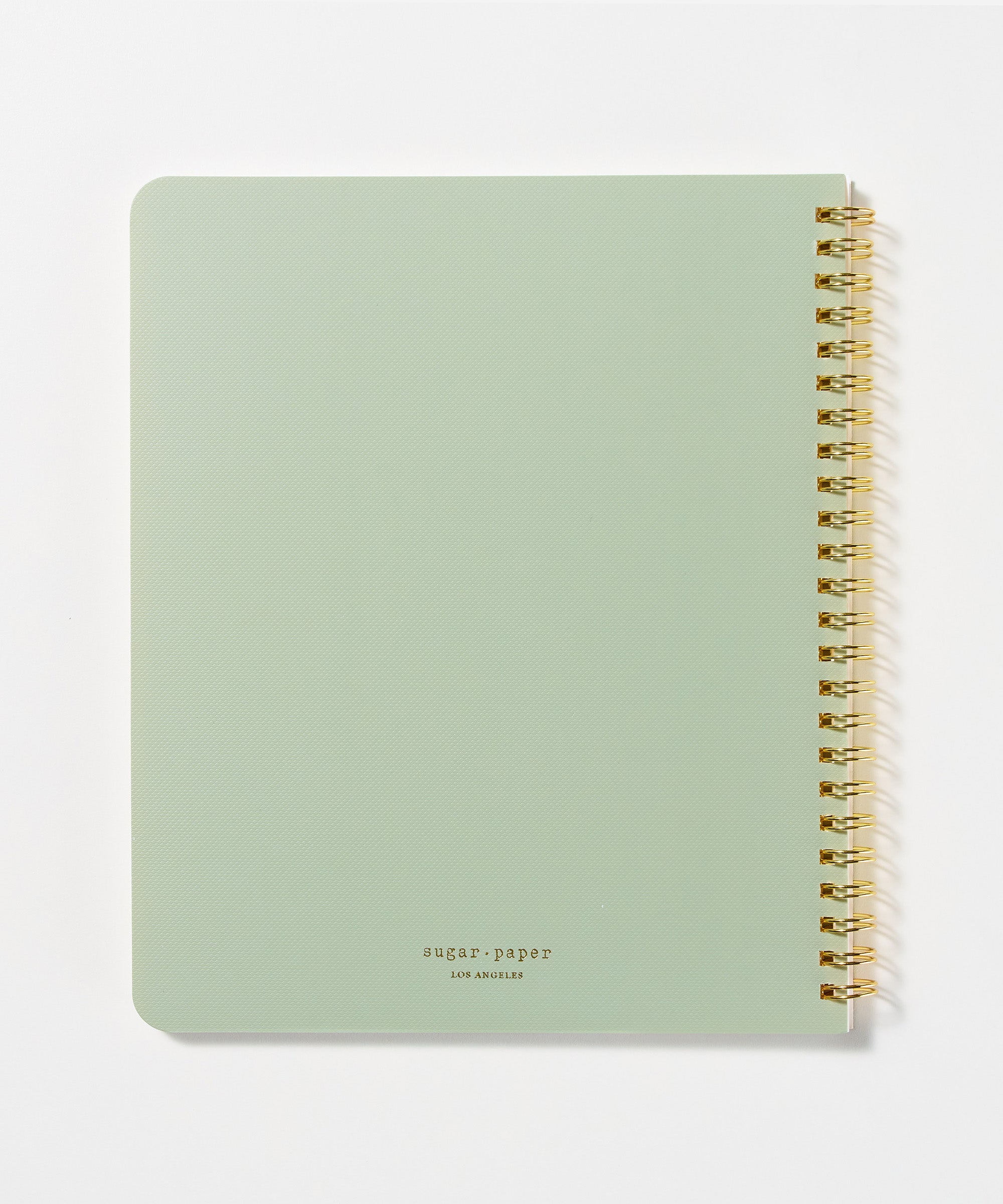 Priorities Notebook/Guided Notebook