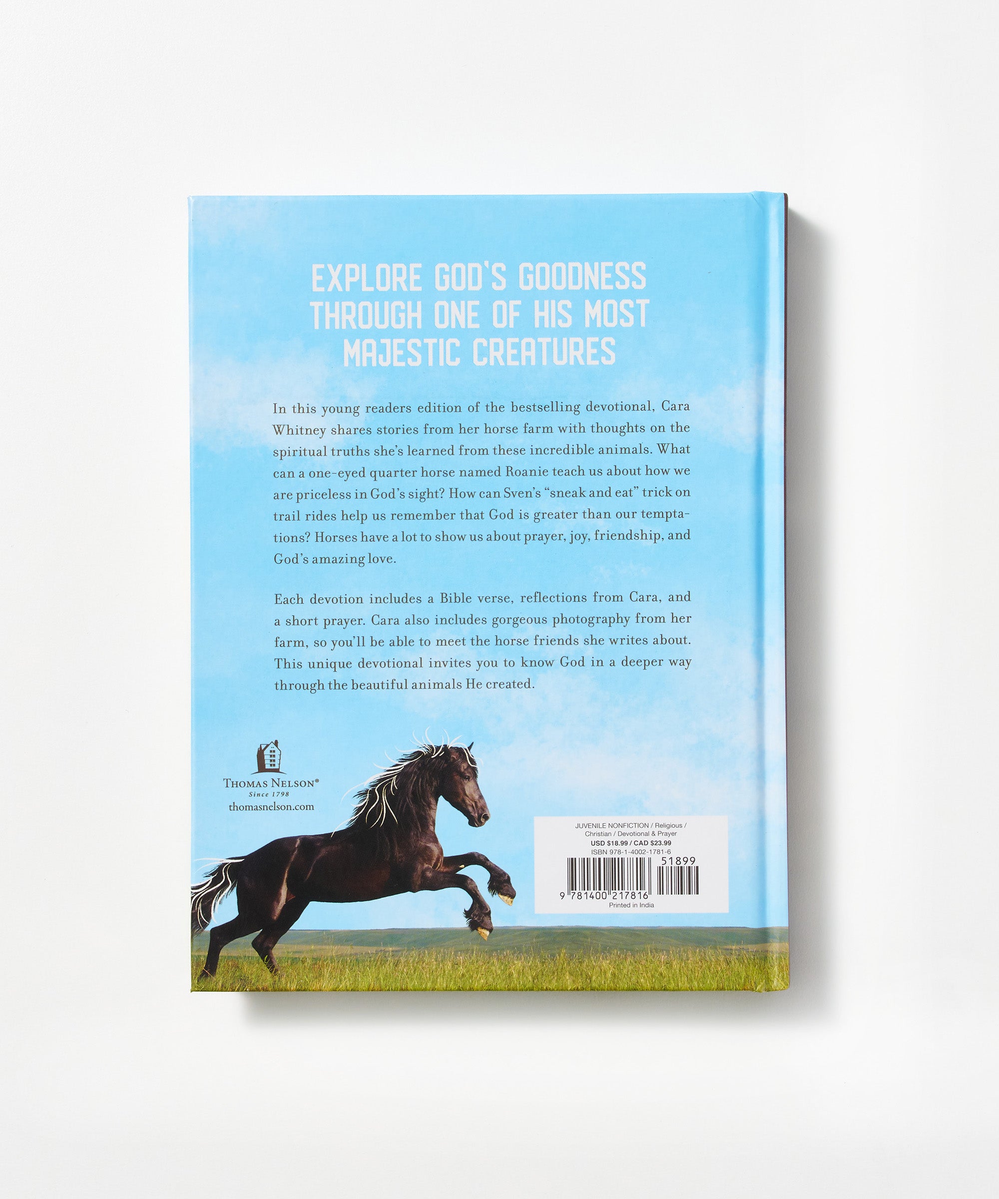 Unbridled Faith Devotions For Young Readers