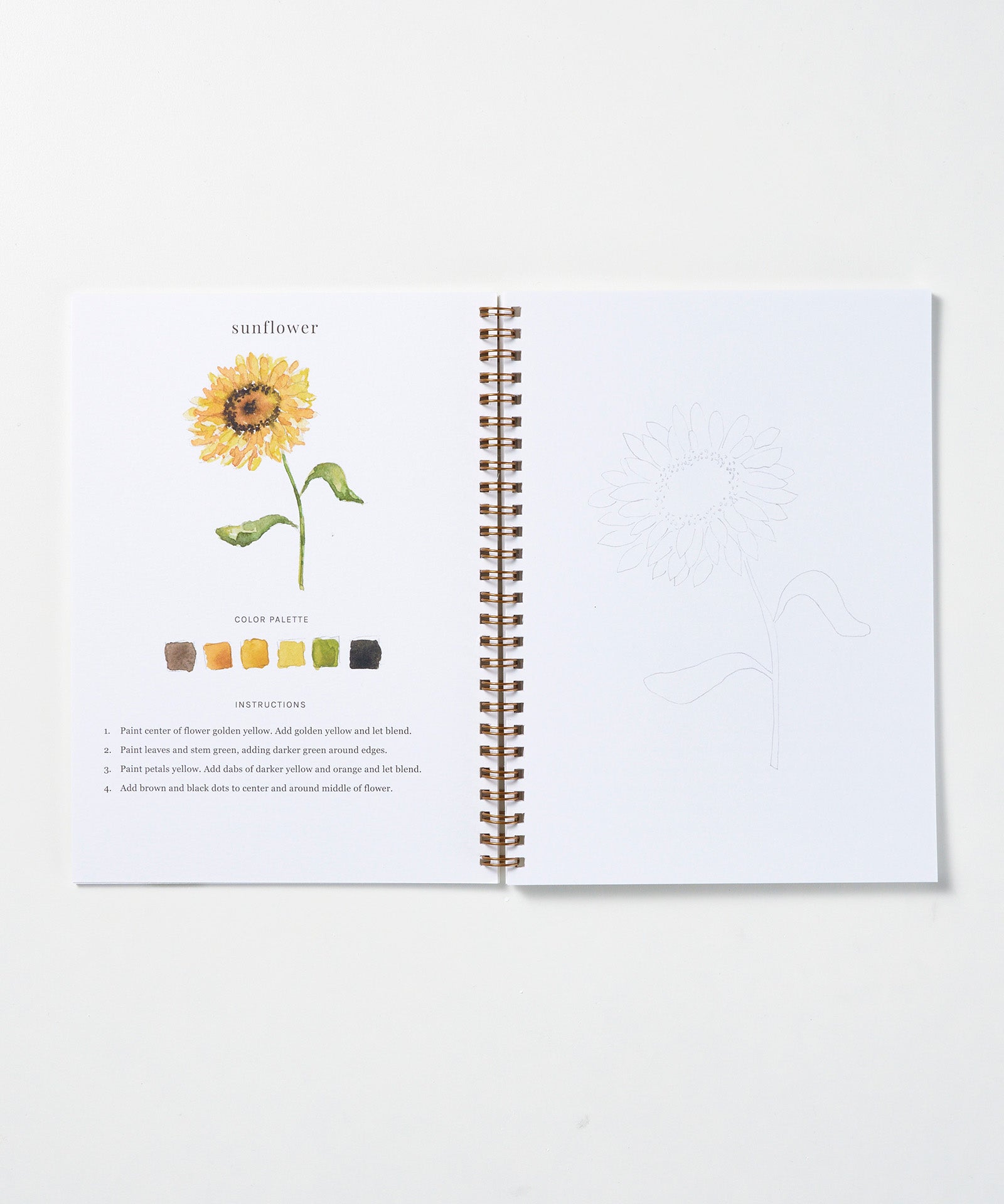 Flowers Watercolor Workbook