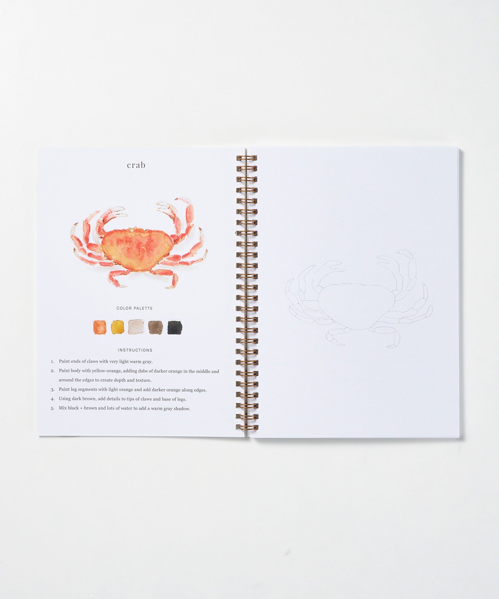 Seaside Watercolor Workbook