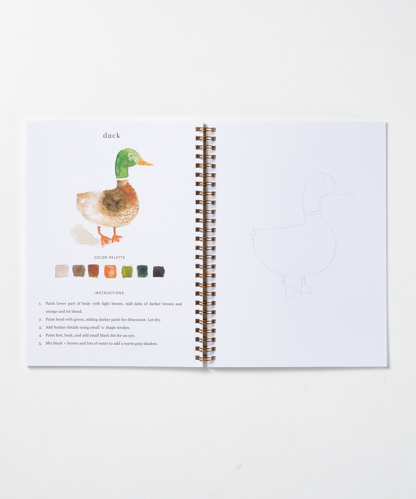 Animals Watercolor Workbook