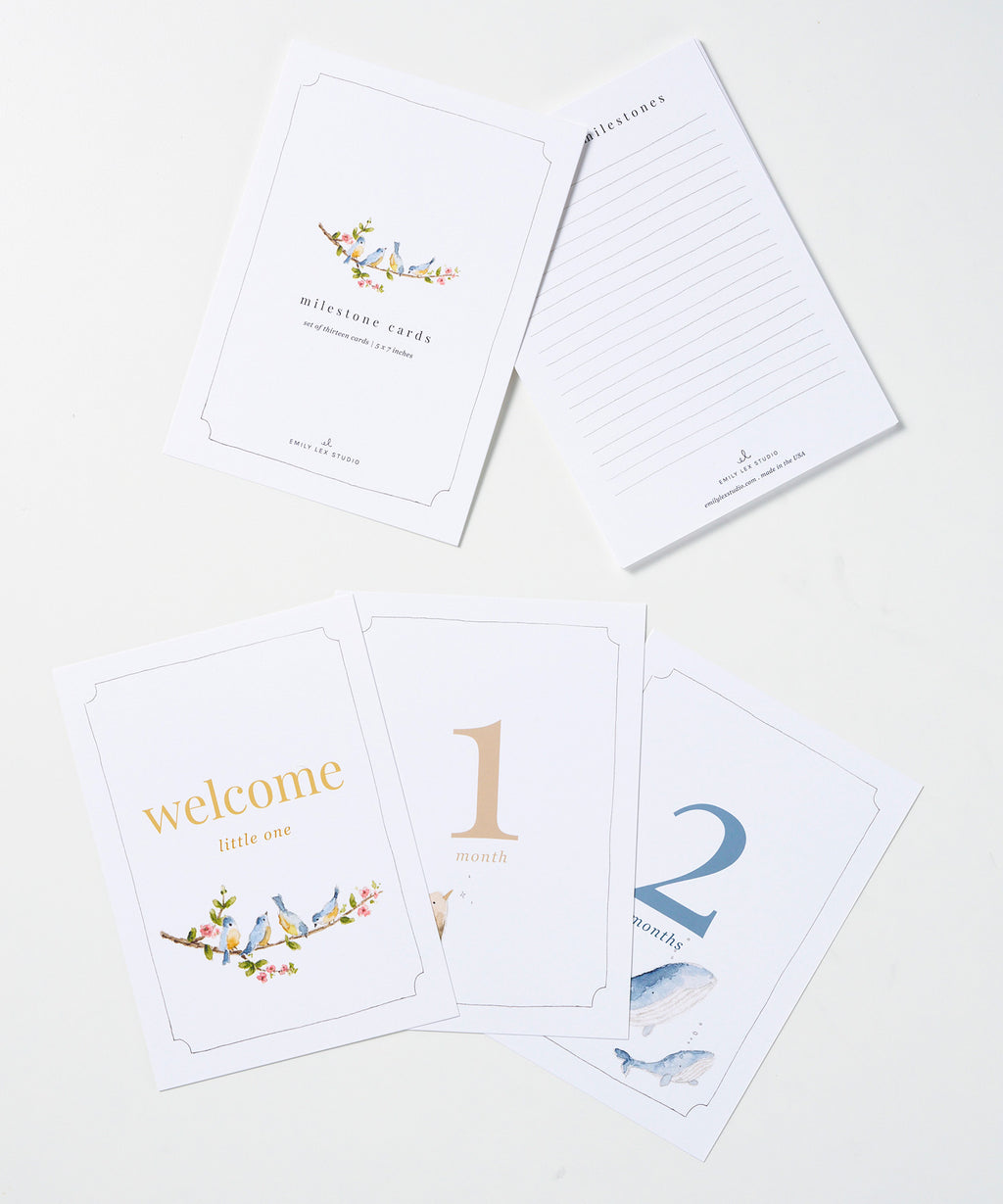 Baby Milestone Cards