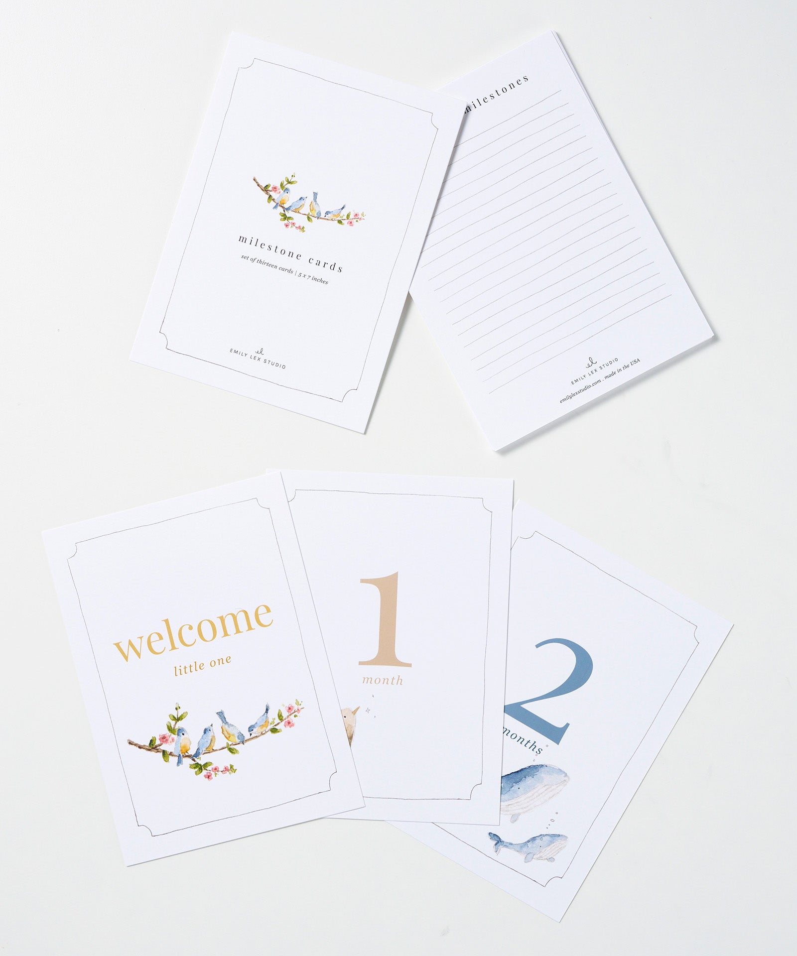 Baby Milestone Cards