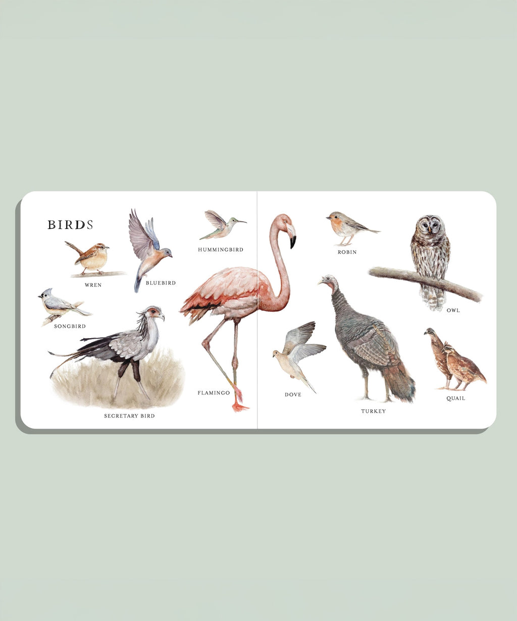 Our Big Book of Animals (Board Book)