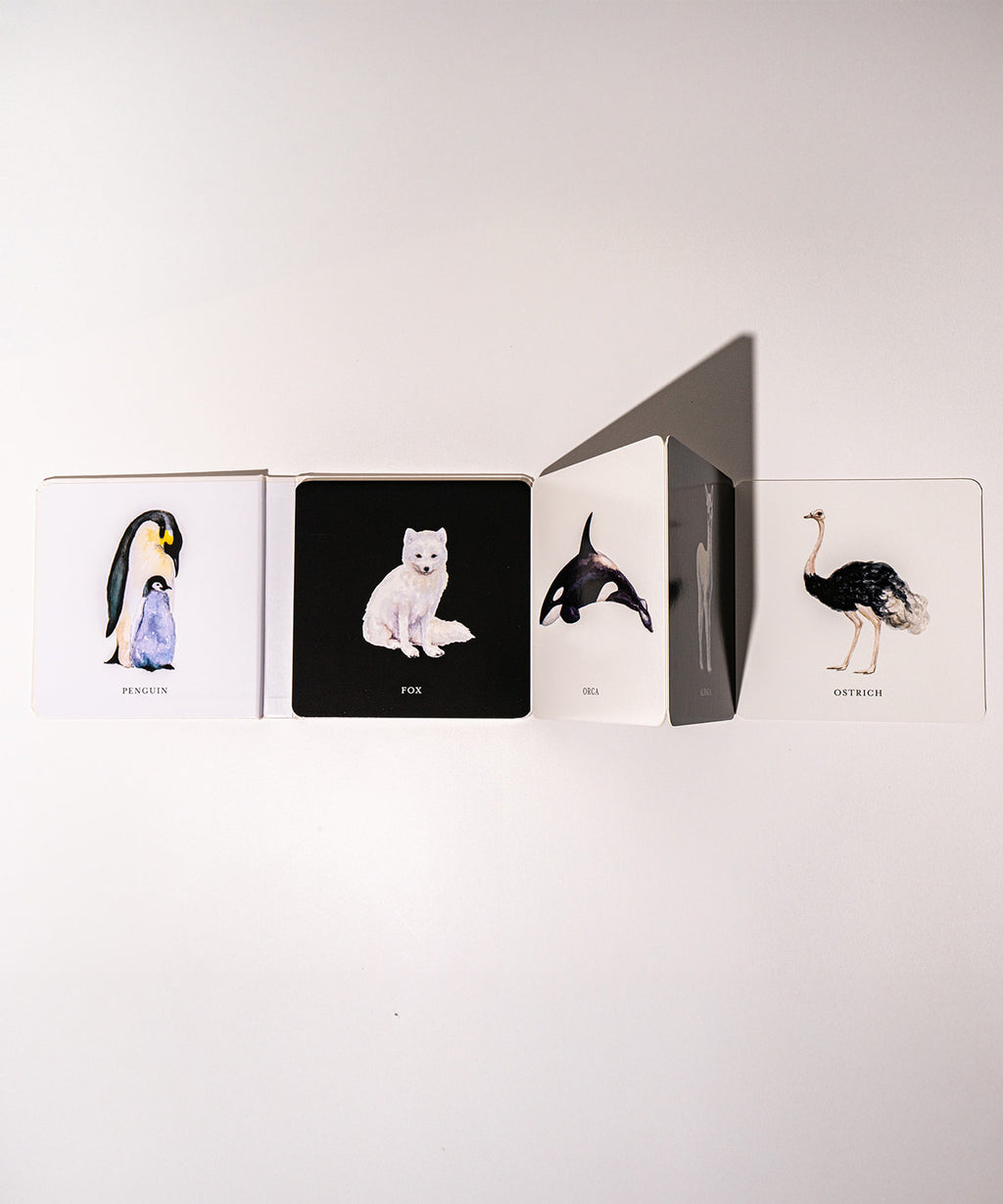 Black and White Contrast Book For Baby