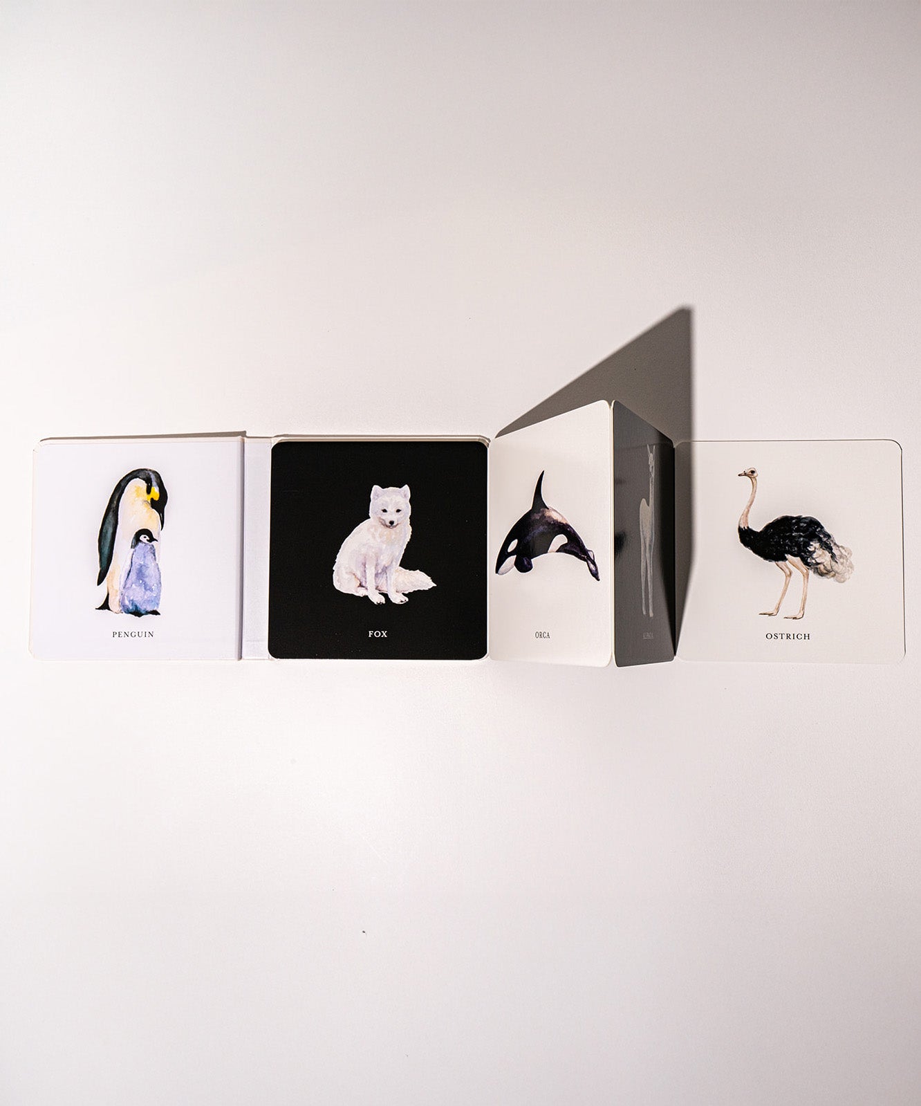 Black and White Contrast Book For Baby
