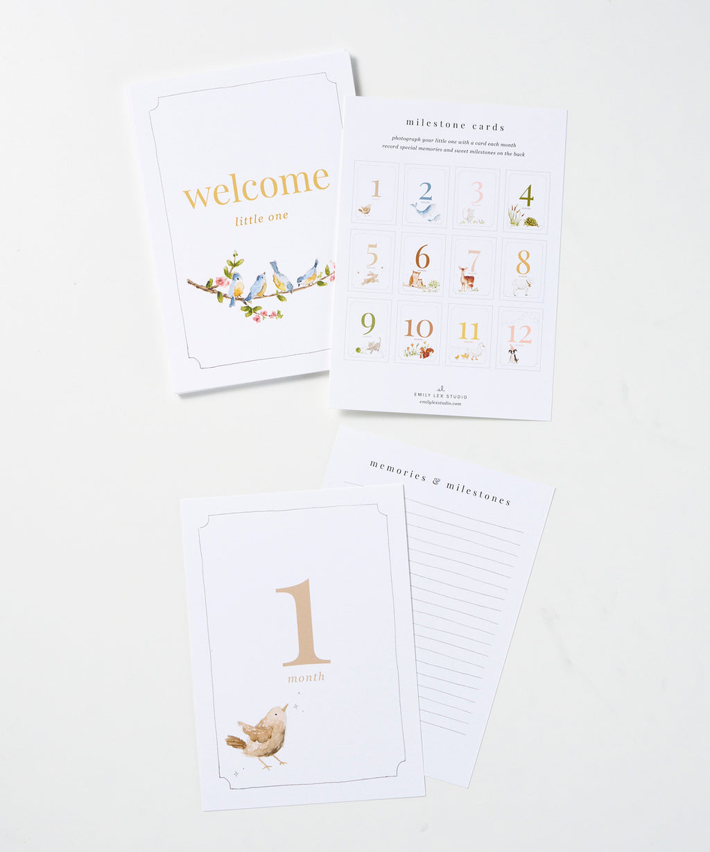 Baby Milestone Cards