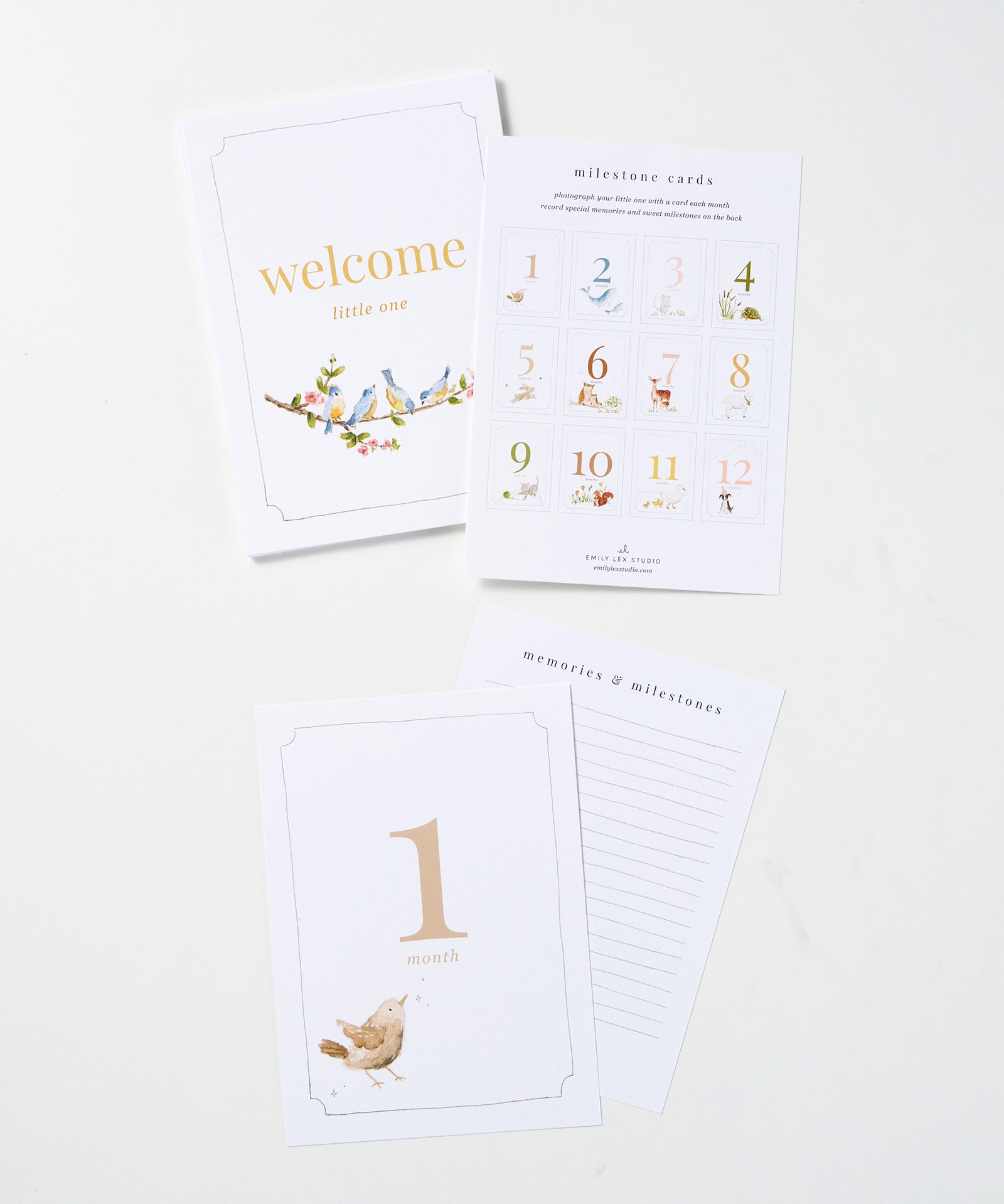 Baby Milestone Cards