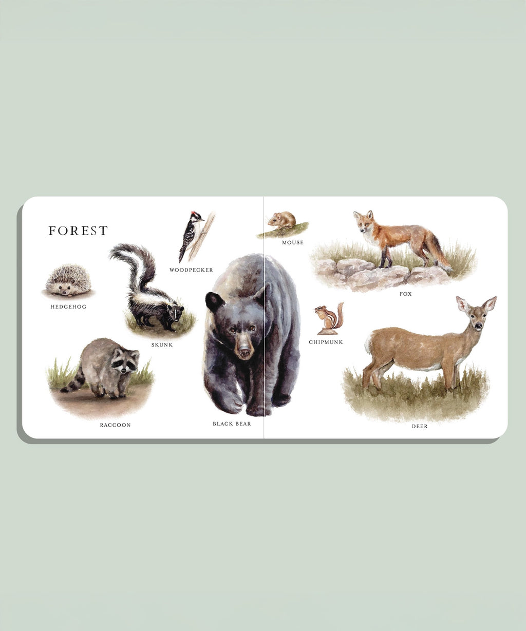 Our Big Book of Animals (Board Book)