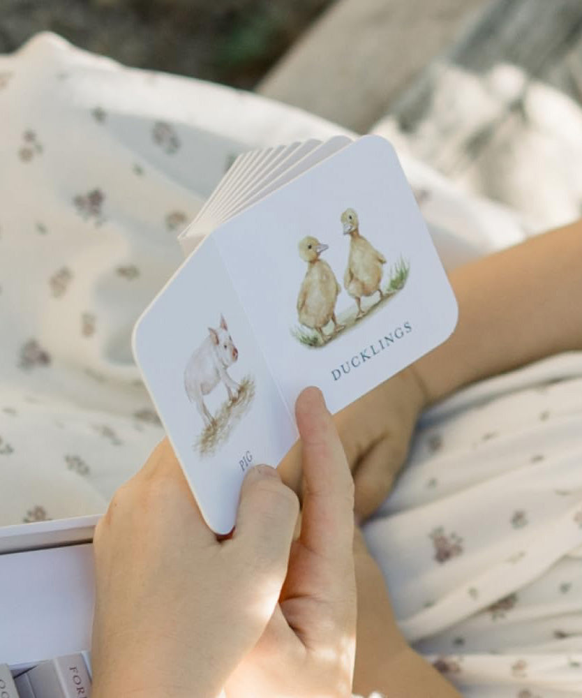 Our Very Little Library Board Book Set