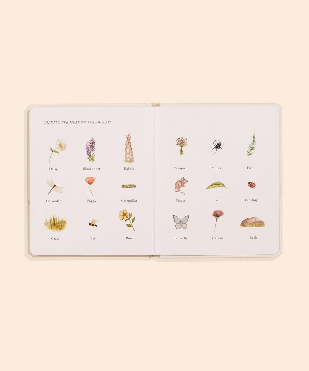 Our Little Adventures Board Book Box Set For Kids