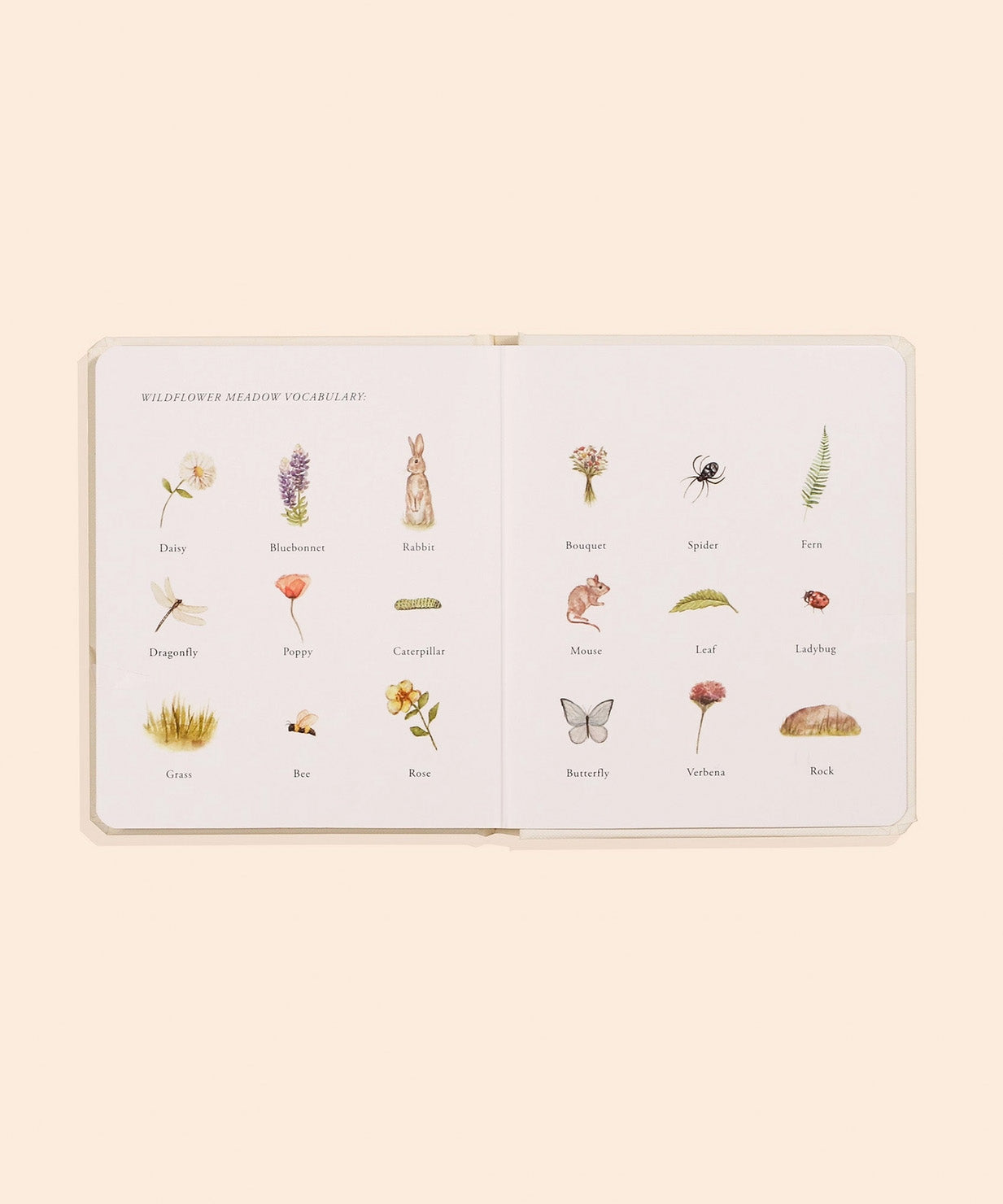 Our Little Adventures Board Book Box Set For Kids