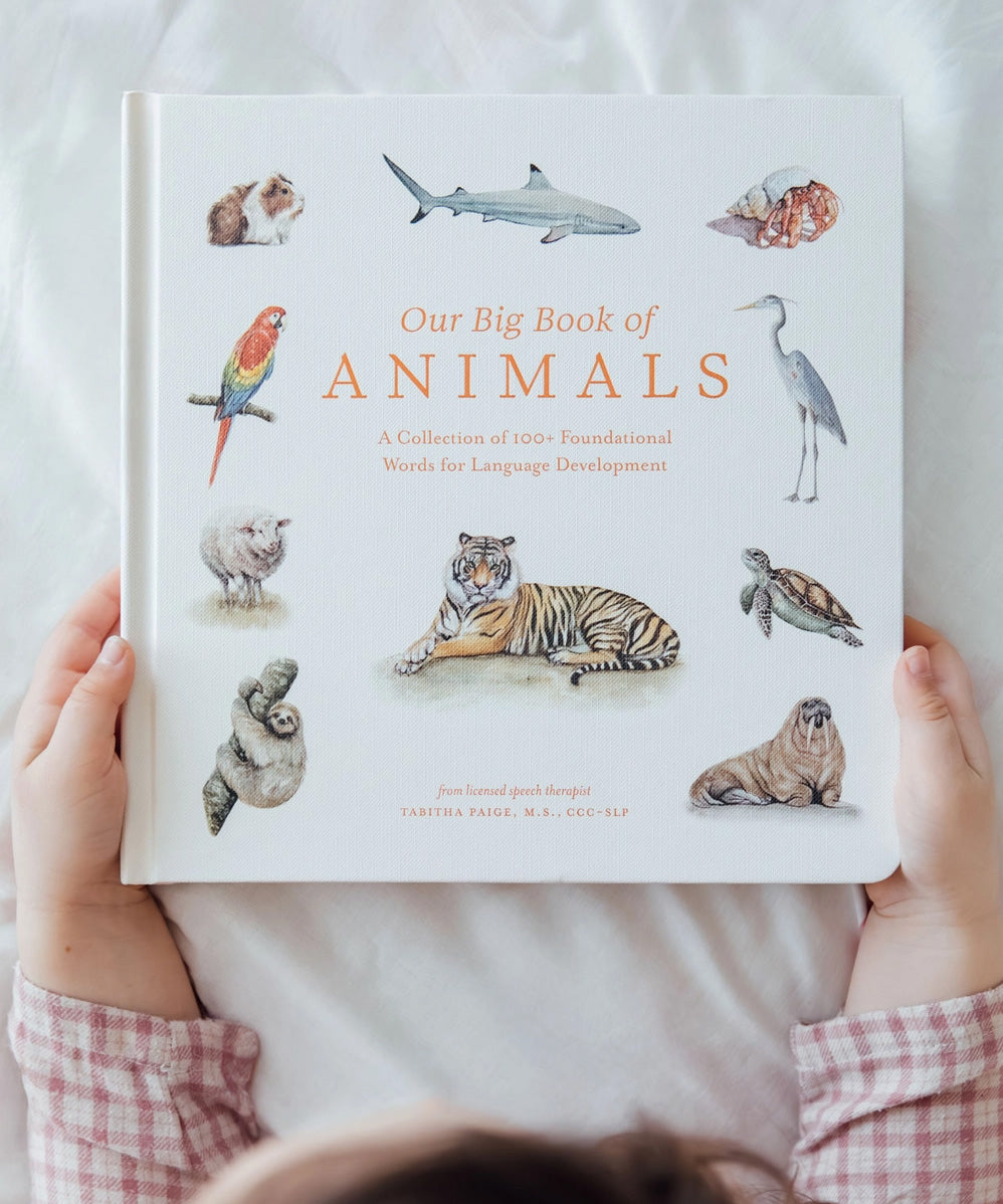 Our Big Book of Animals (Board Book)