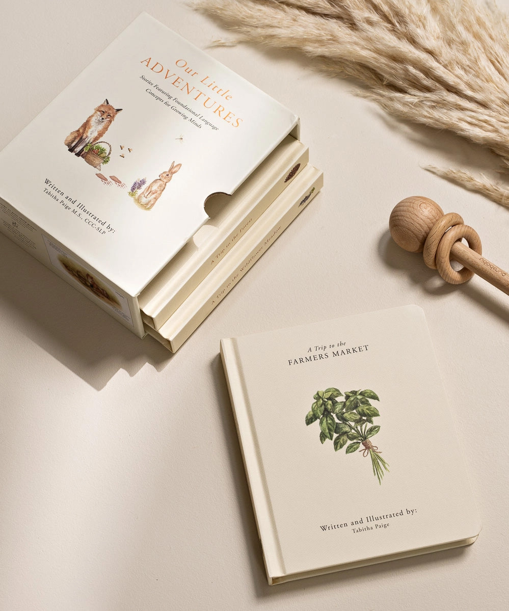 Our Little Adventures Board Book Box Set For Kids