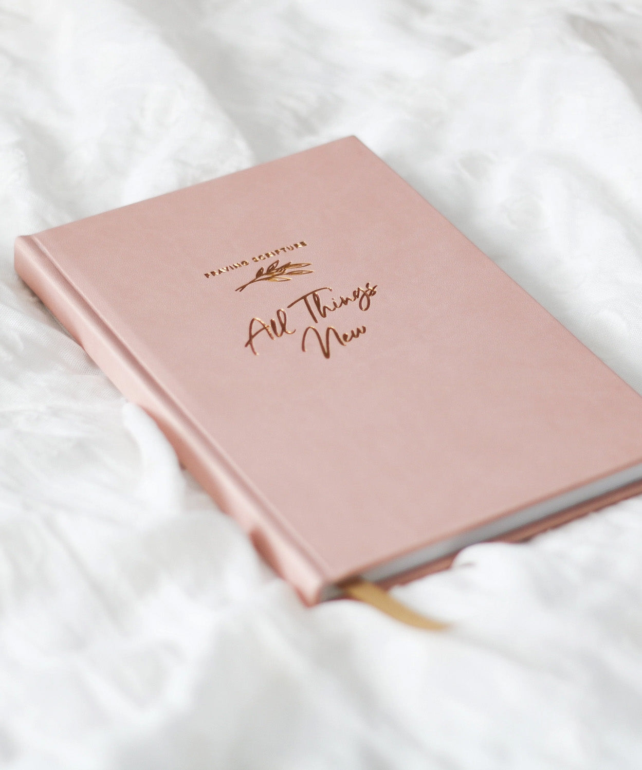 All Things New - Praying Scripture Journal