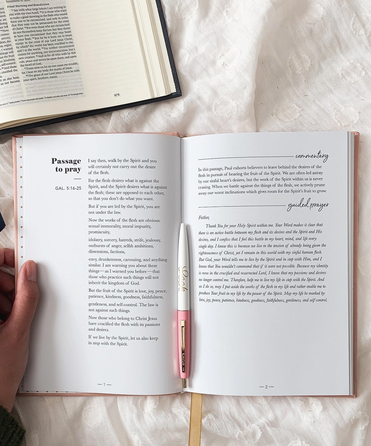 All Things New - Praying Scripture Journal