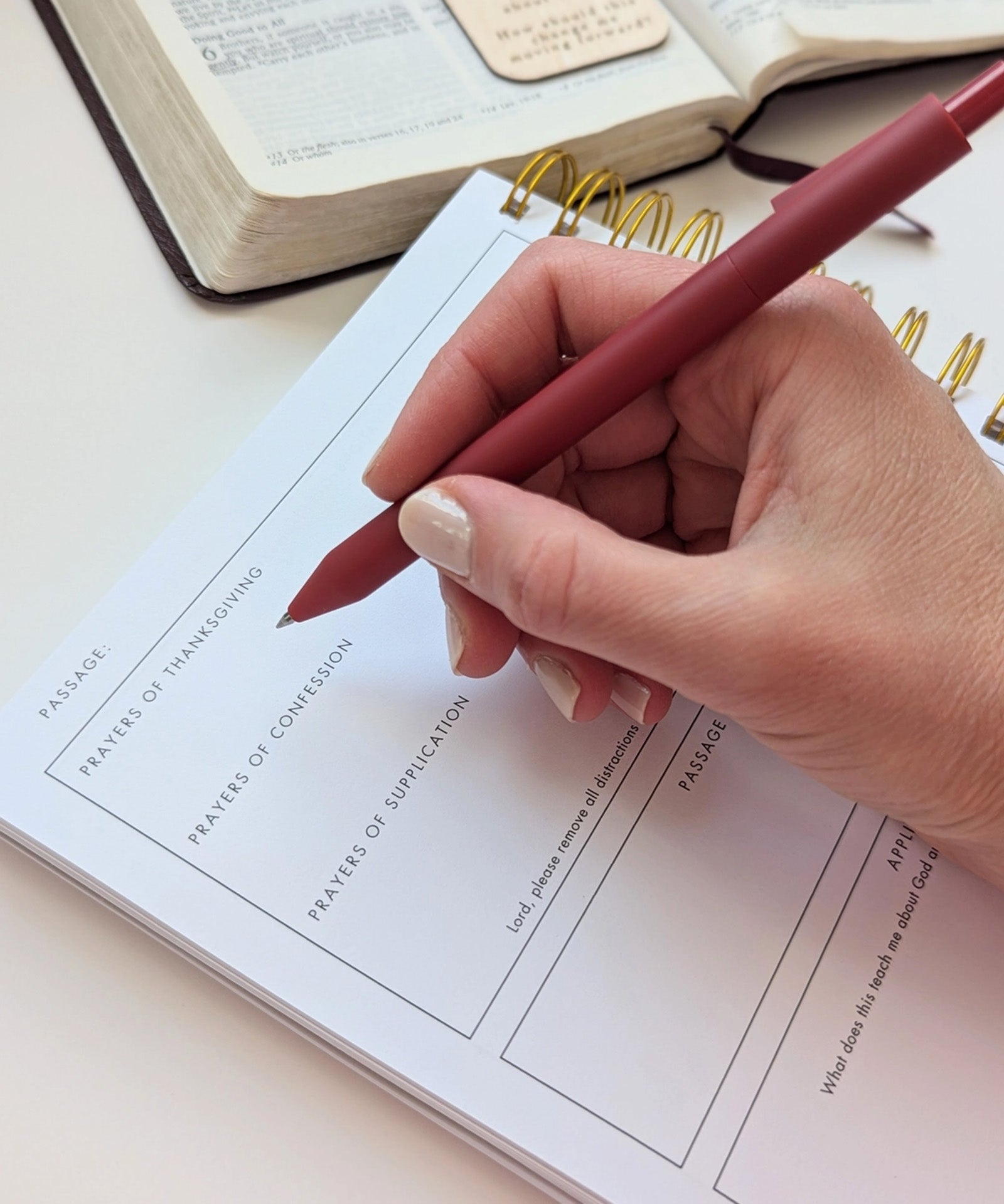 Bible Study Journal