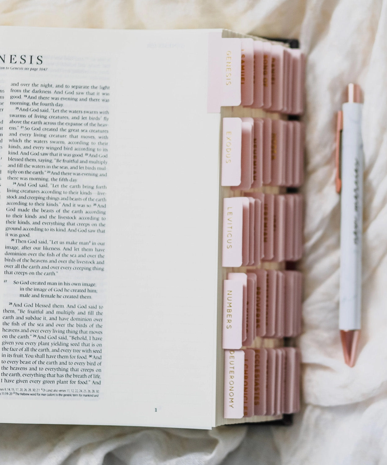 Blush Bible Tabs