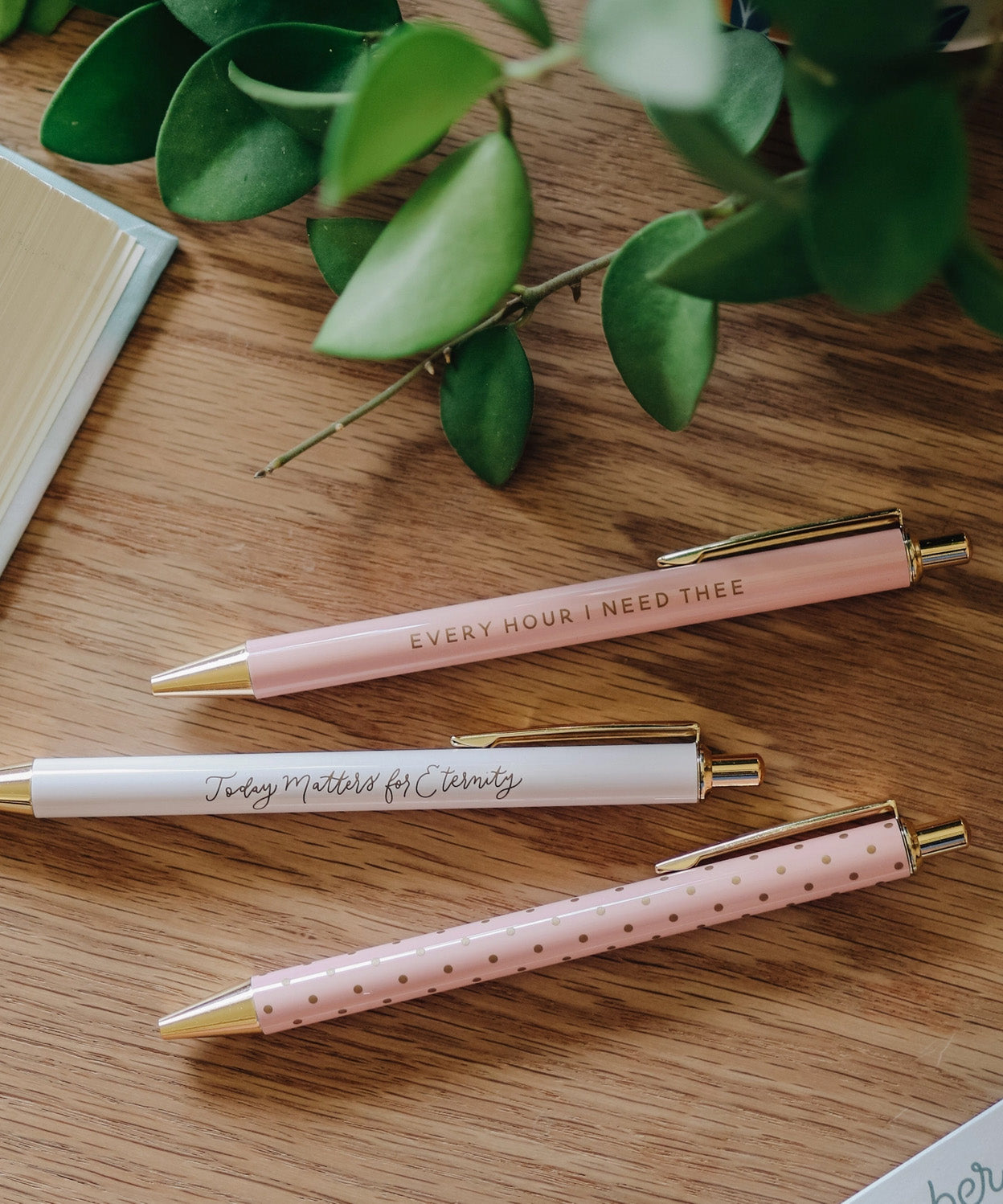 Blush Pen Set