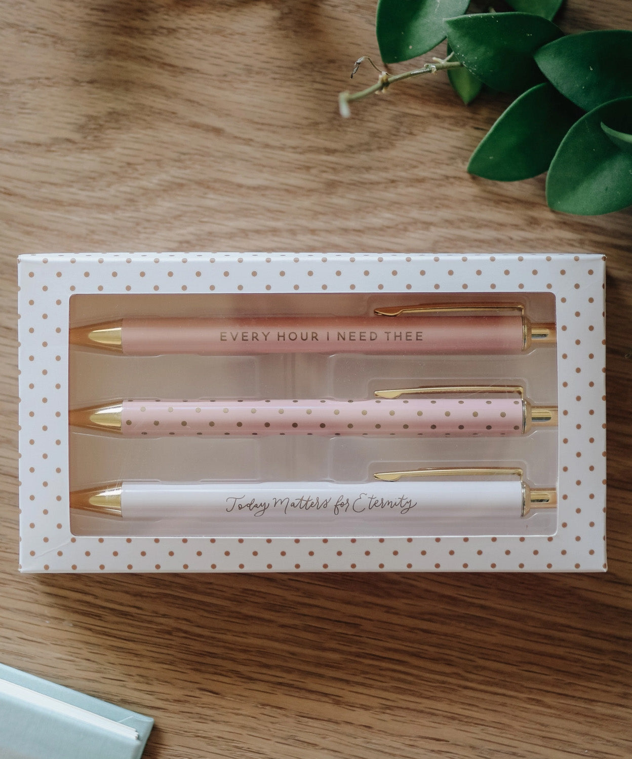 Blush Pen Set
