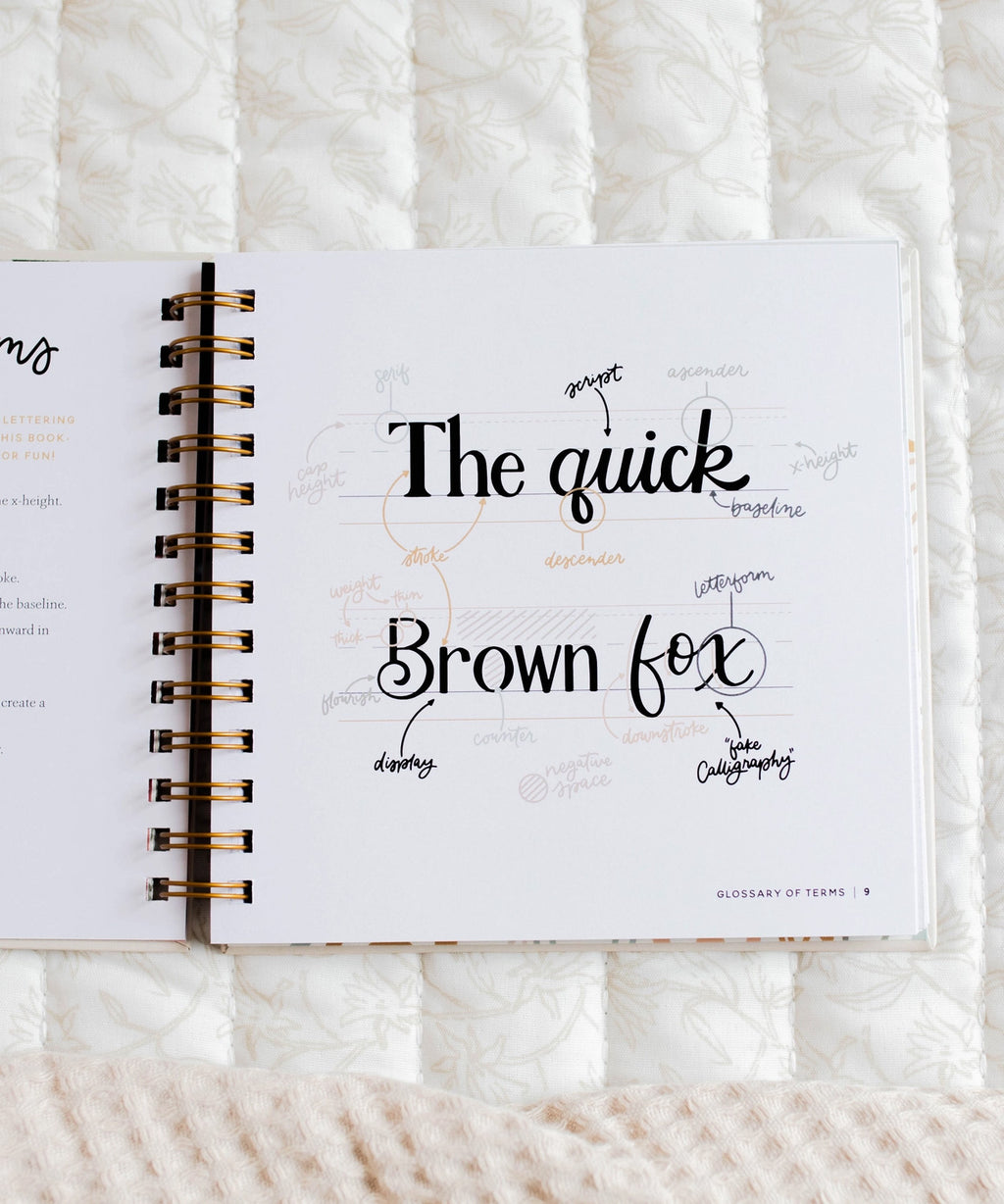 Daily Grace Scripture Lettering Workbook