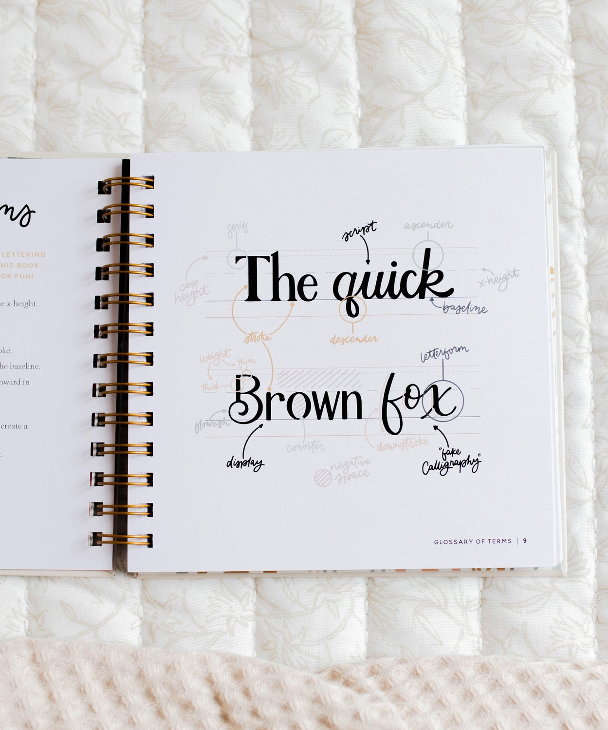 Daily Grace Scripture Lettering Workbook