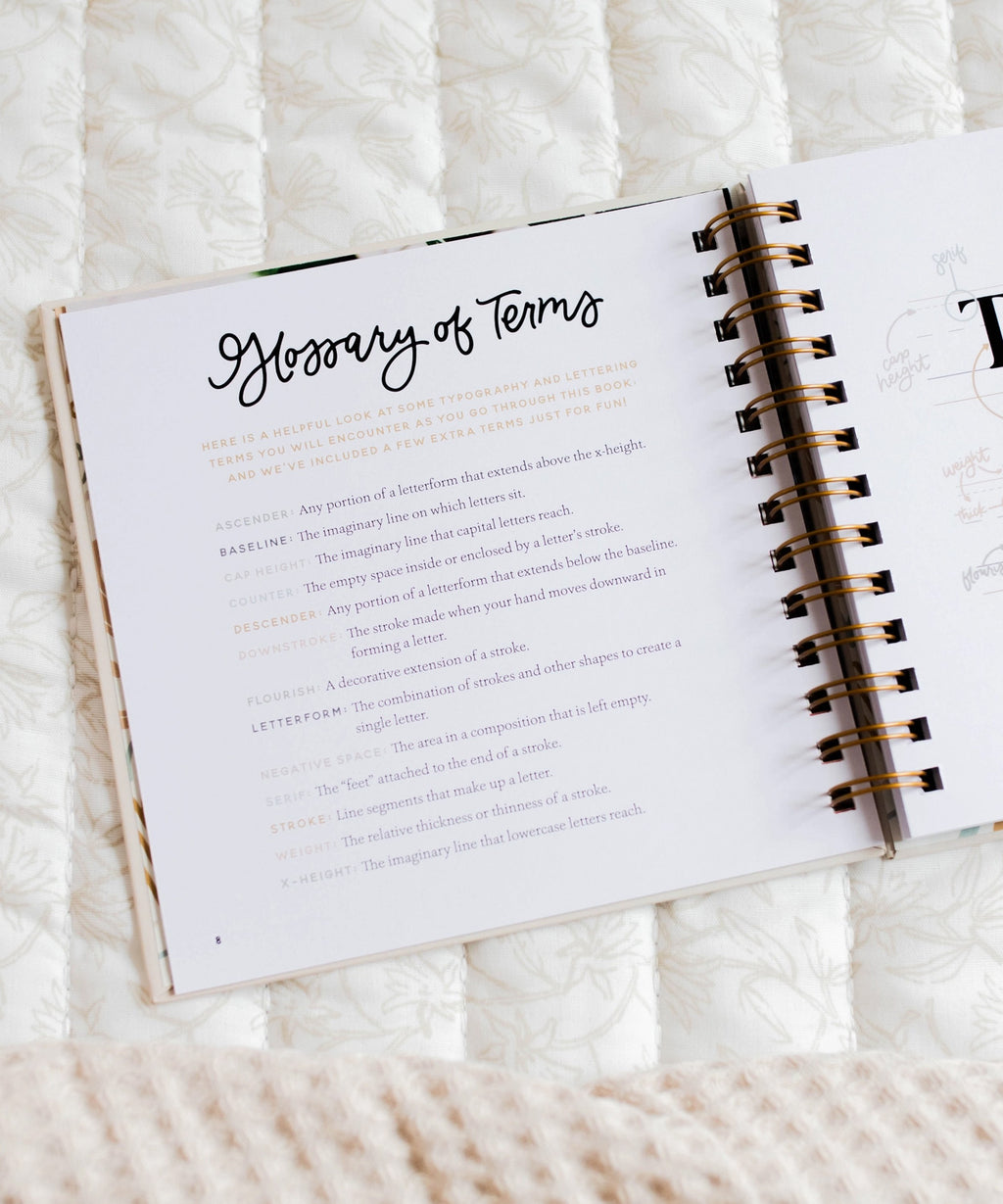 Daily Grace Scripture Lettering Workbook