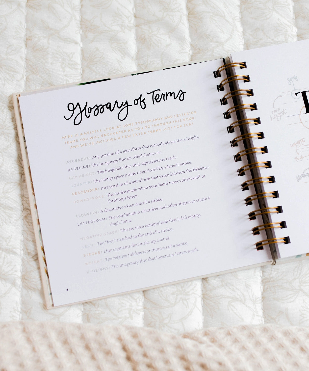 Daily Grace Scripture Lettering Workbook