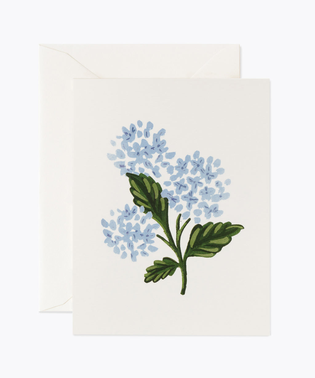Hydrangea Bloom Card