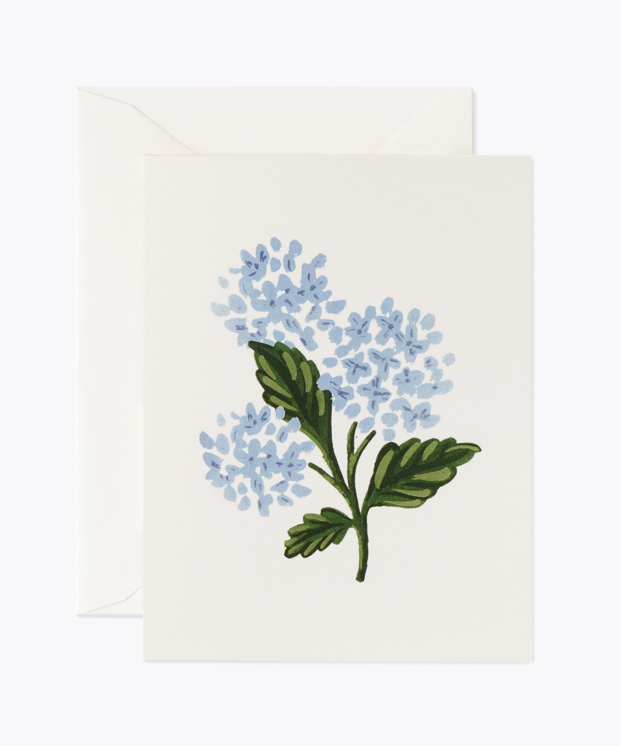Hydrangea Bloom Card
