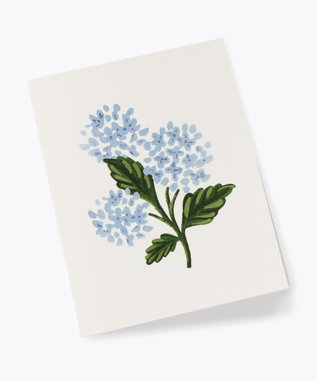 Hydrangea Bloom Card