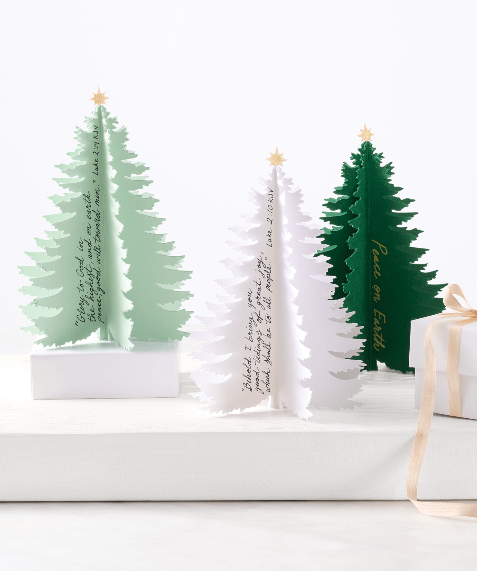 Standing Paper Trees