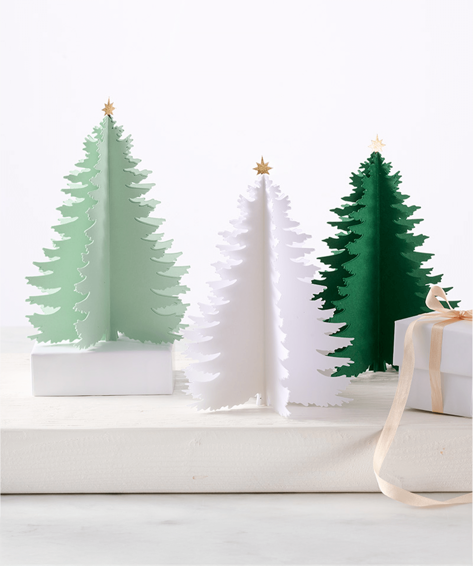 Standing Paper Trees