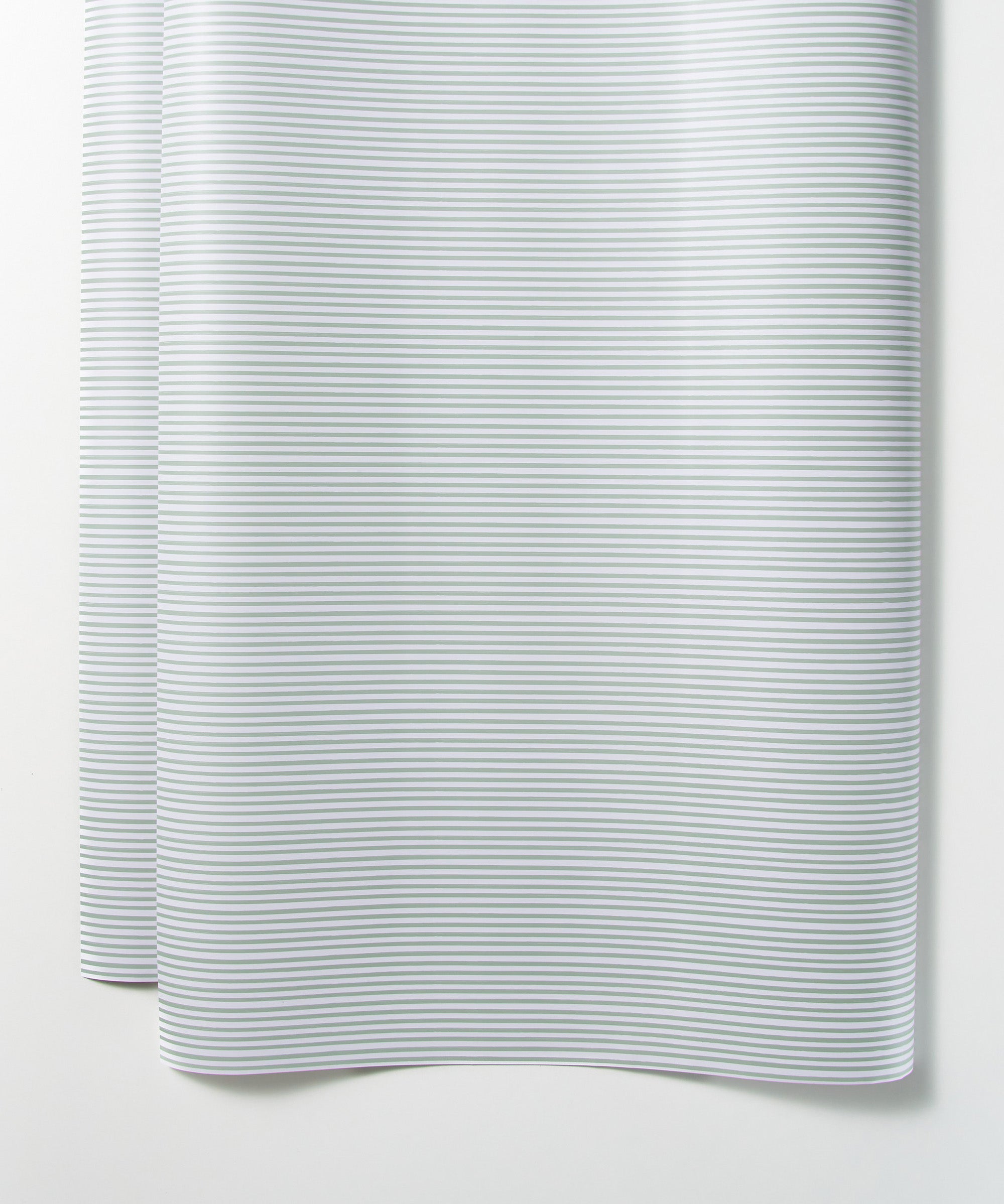 Gift Wrap Roll