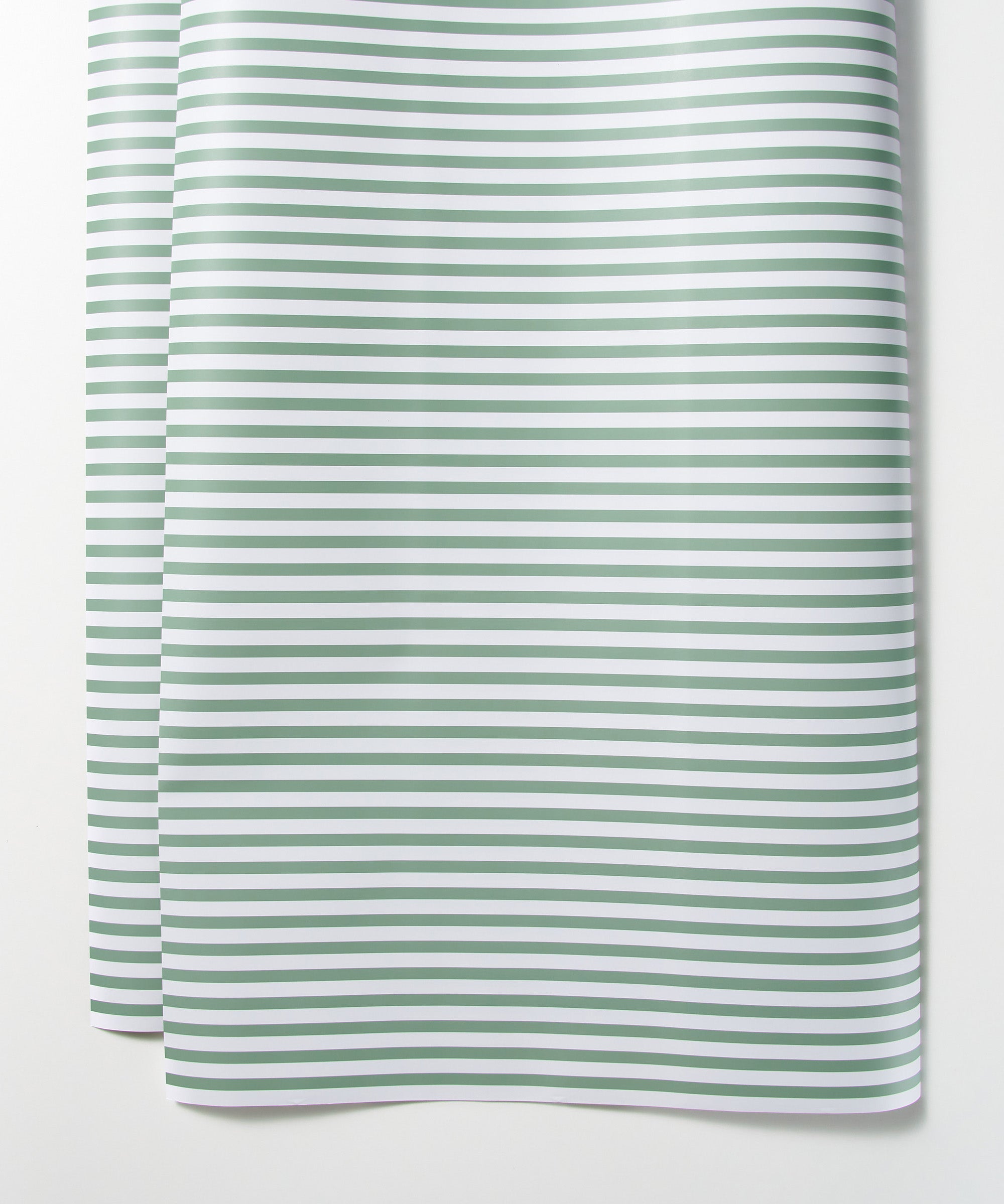 Gift Wrap Roll