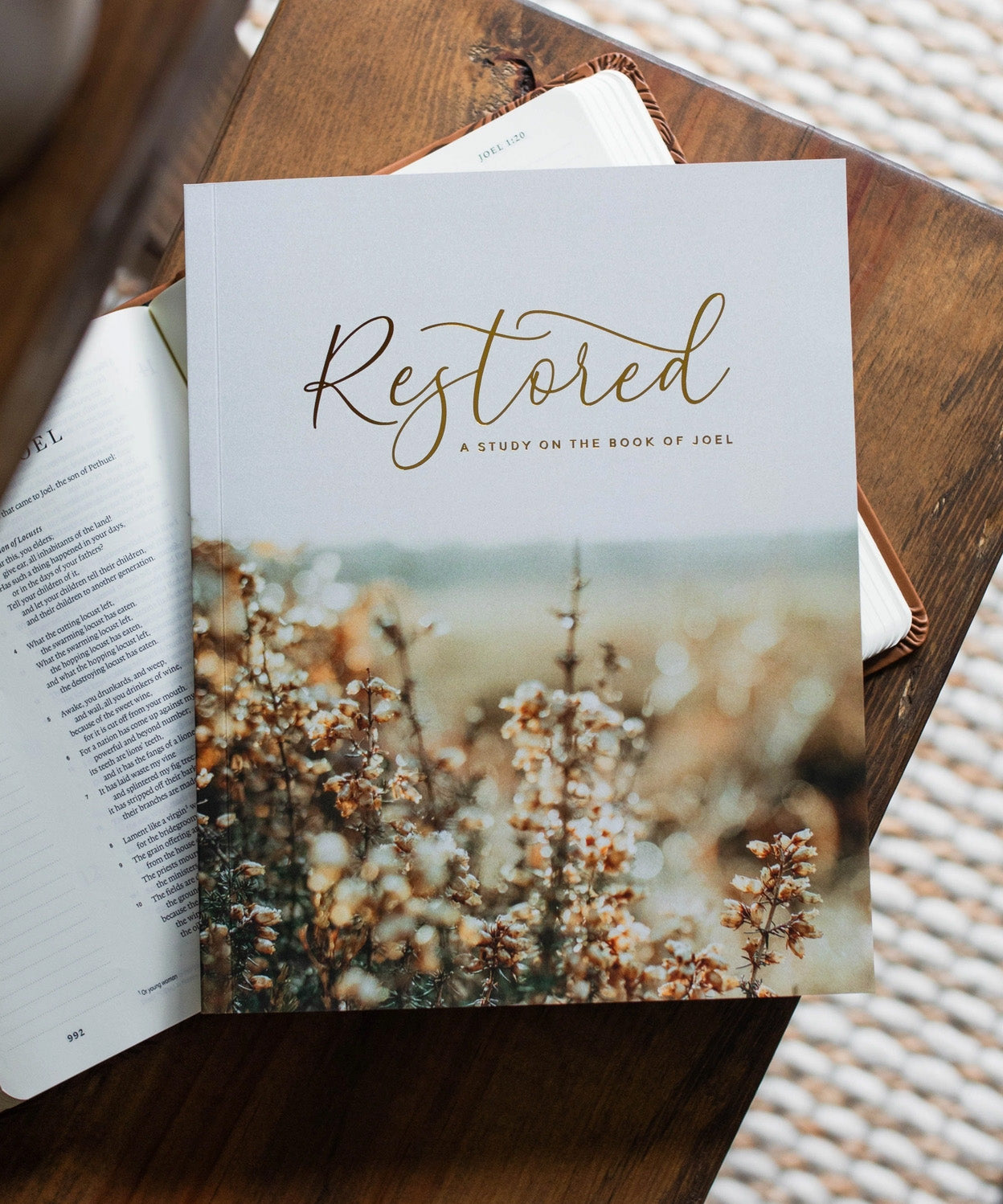 Restored Men's Bible Study