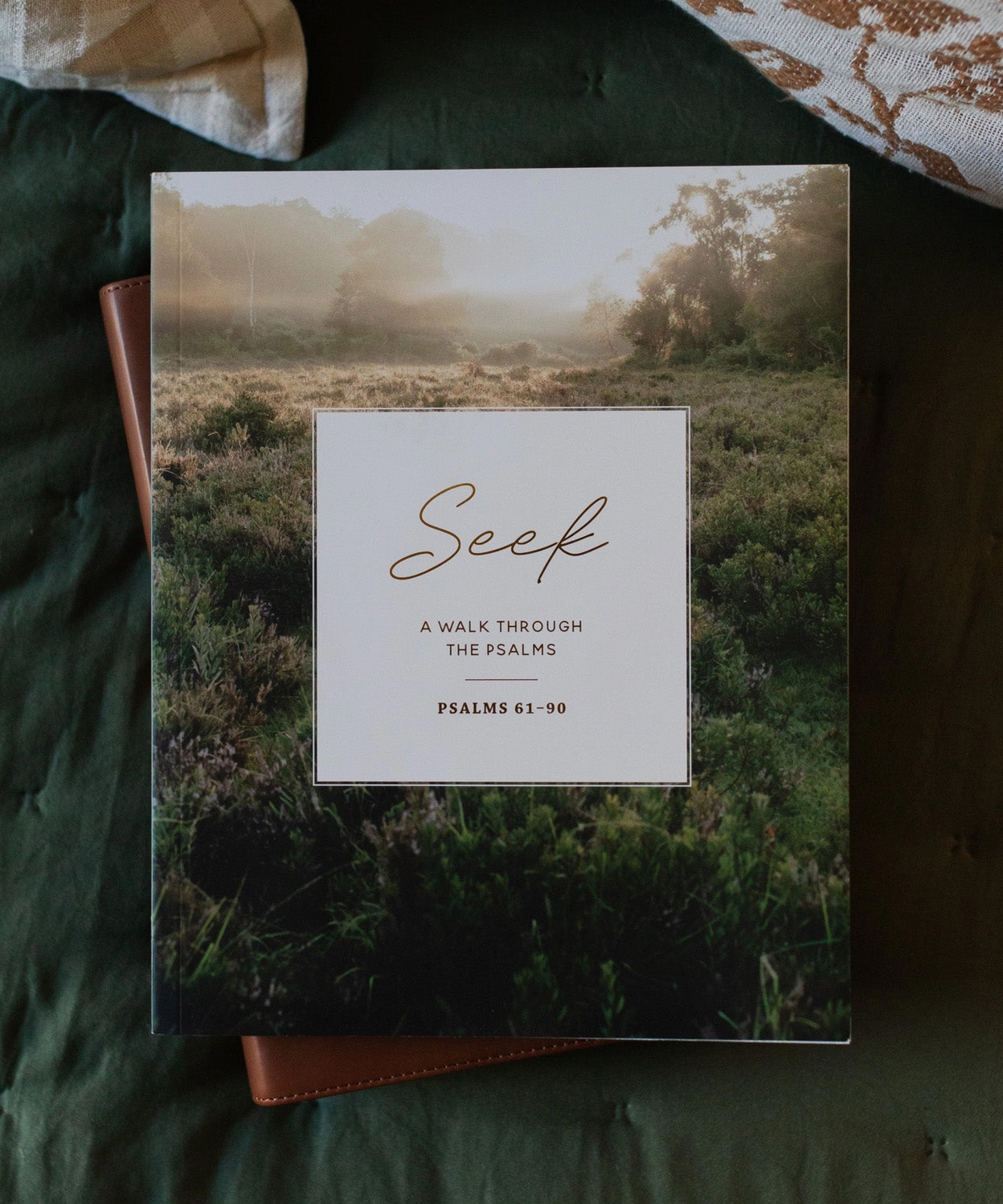 Seek Bible Study