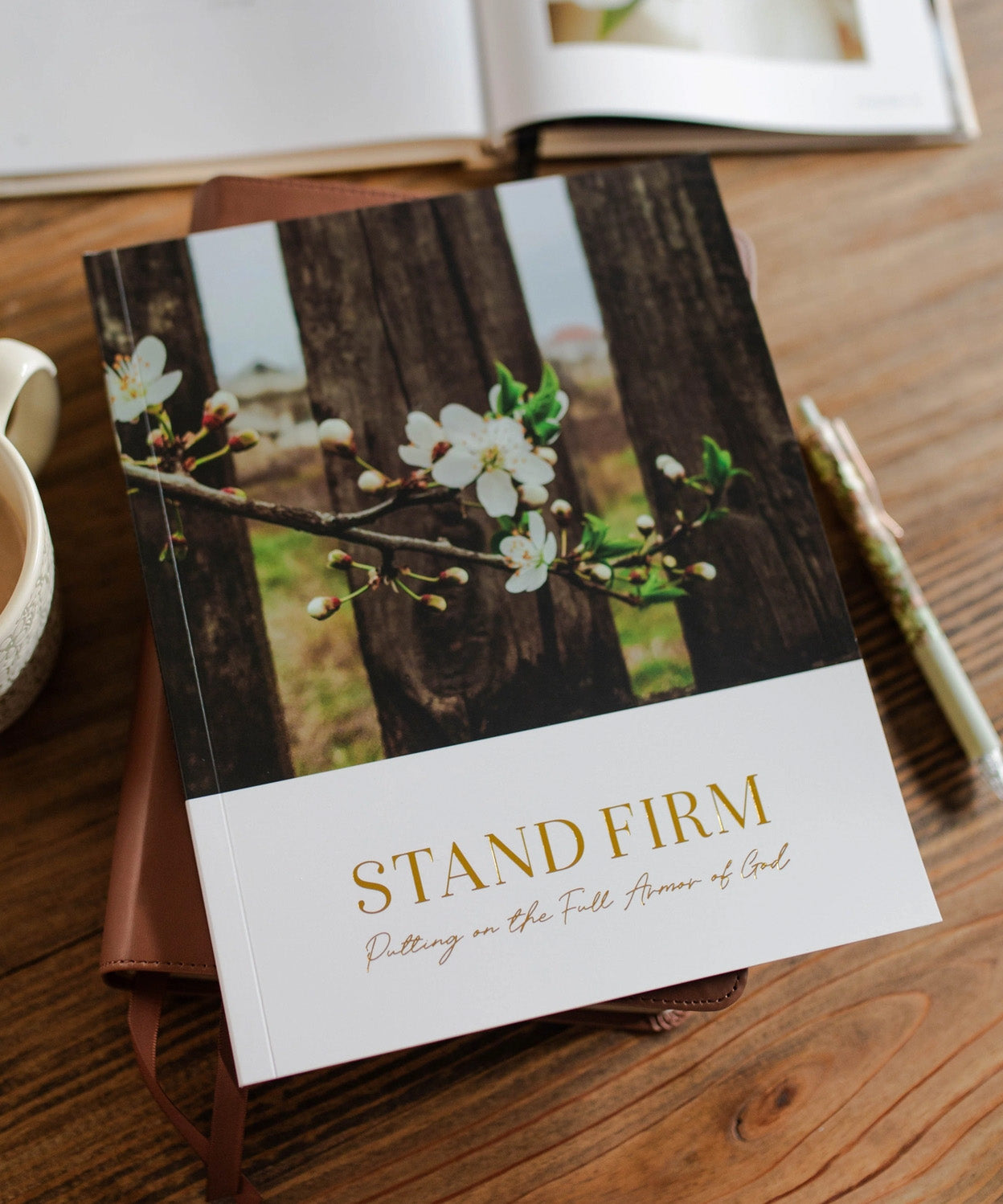 Stand Firm, Armor of God Study