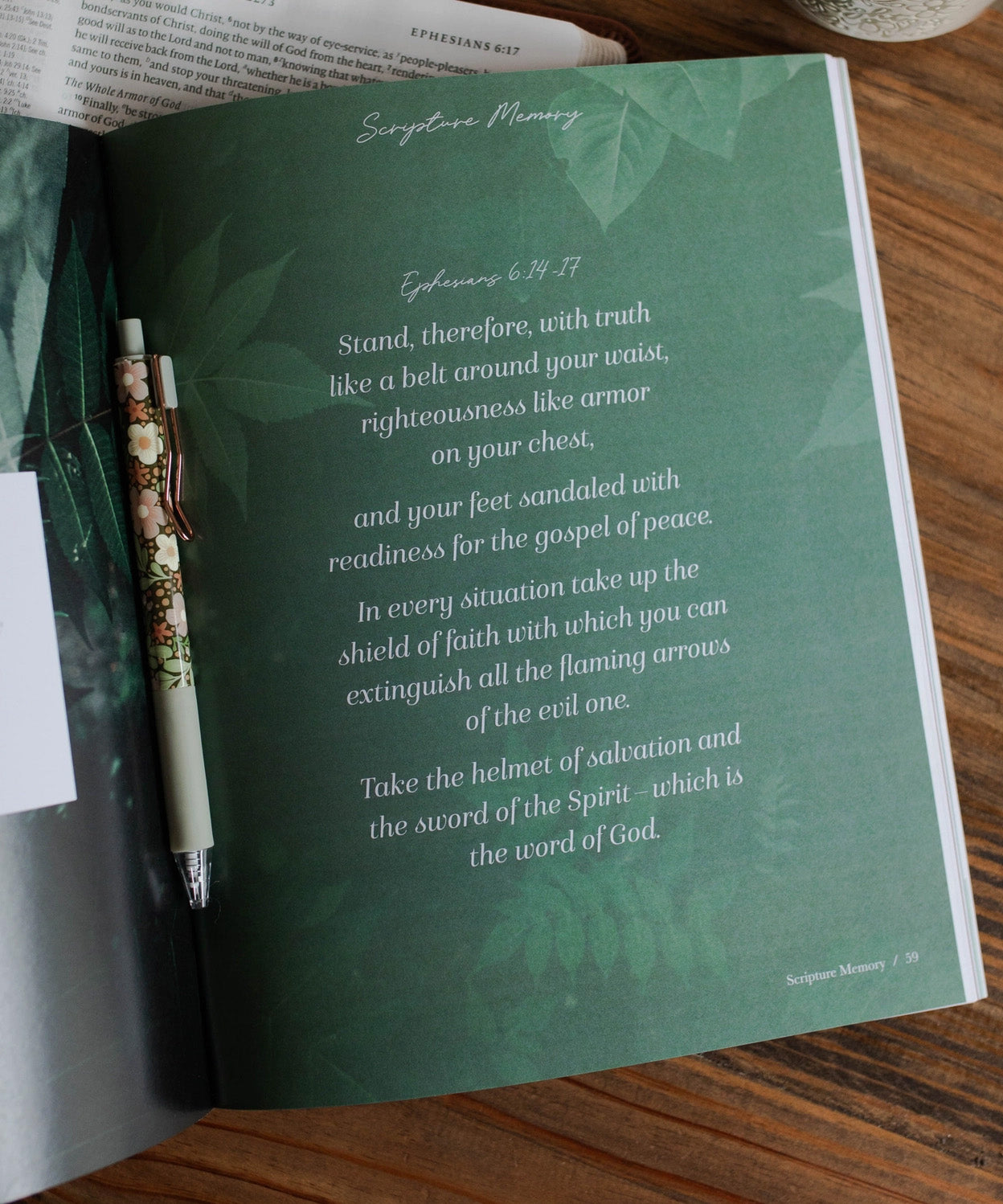 Stand Firm, Armor of God Study