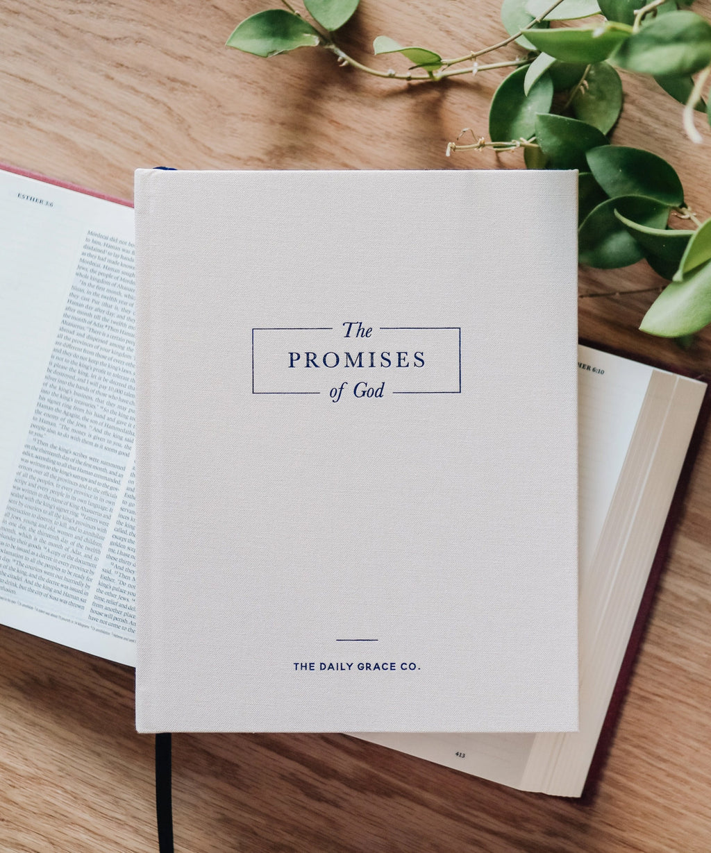 The Promises of God, Coffee Table Book