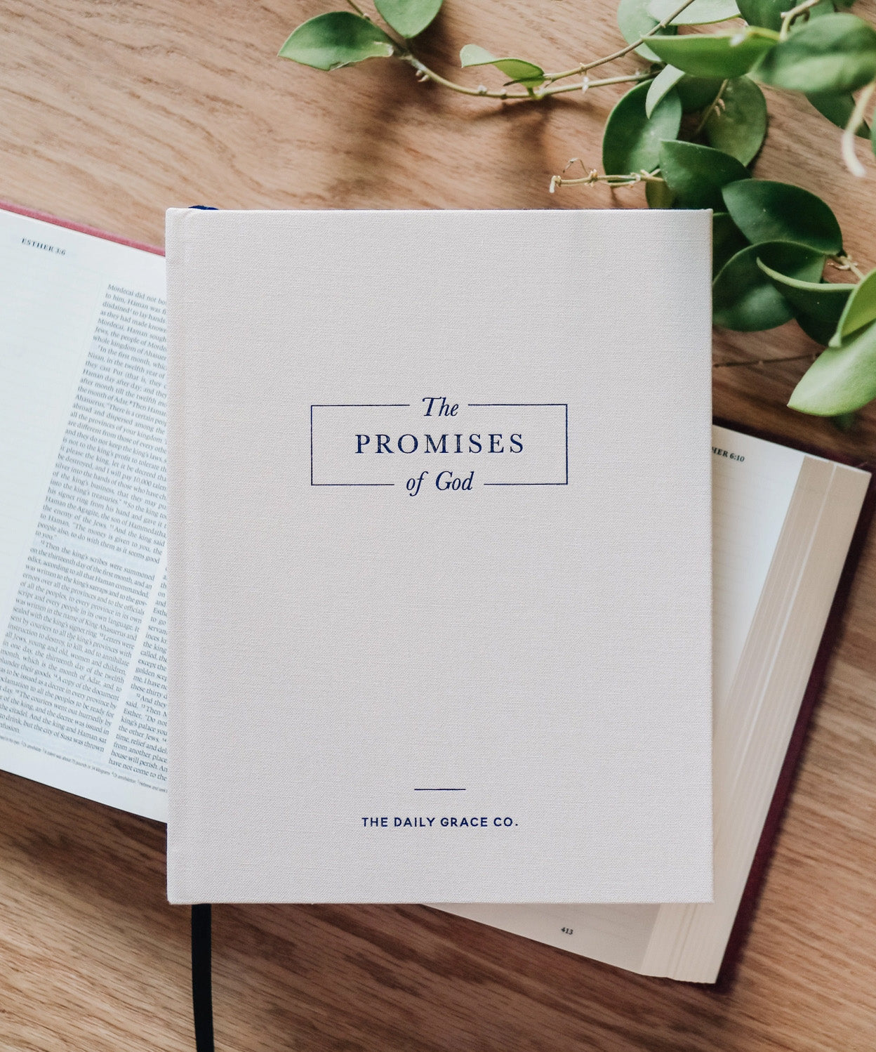 The Promises of God, Coffee Table Book
