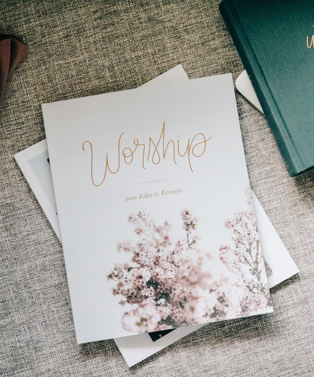 Worship Bible Study